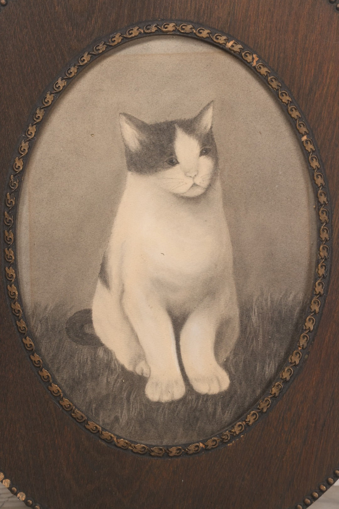 Lot 056 - Antique Oval Charcoal Portrait Of Cat In Wooden Frame, Late 19th / Early 20th Century