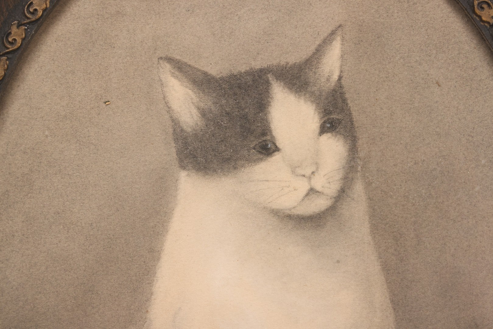 Lot 056 - Antique Oval Charcoal Portrait Of Cat In Wooden Frame, Late 19th / Early 20th Century