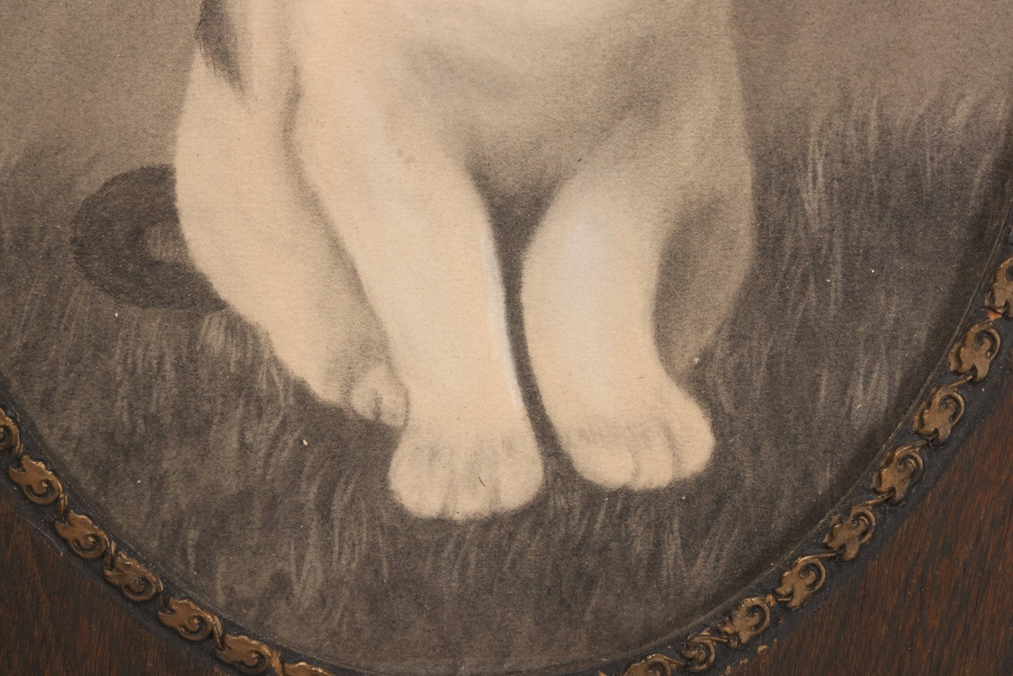 Lot 056 - Antique Oval Charcoal Portrait Of Cat In Wooden Frame, Late 19th / Early 20th Century