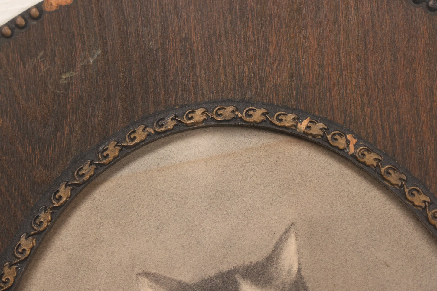Lot 056 - Antique Oval Charcoal Portrait Of Cat In Wooden Frame, Late 19th / Early 20th Century