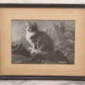 Lot 060 - Antique Framed Cat Photograph Print “Sunbeams,” Copyright 1899 By C. E. Bullard, 11-1/2" x 9-1/4"