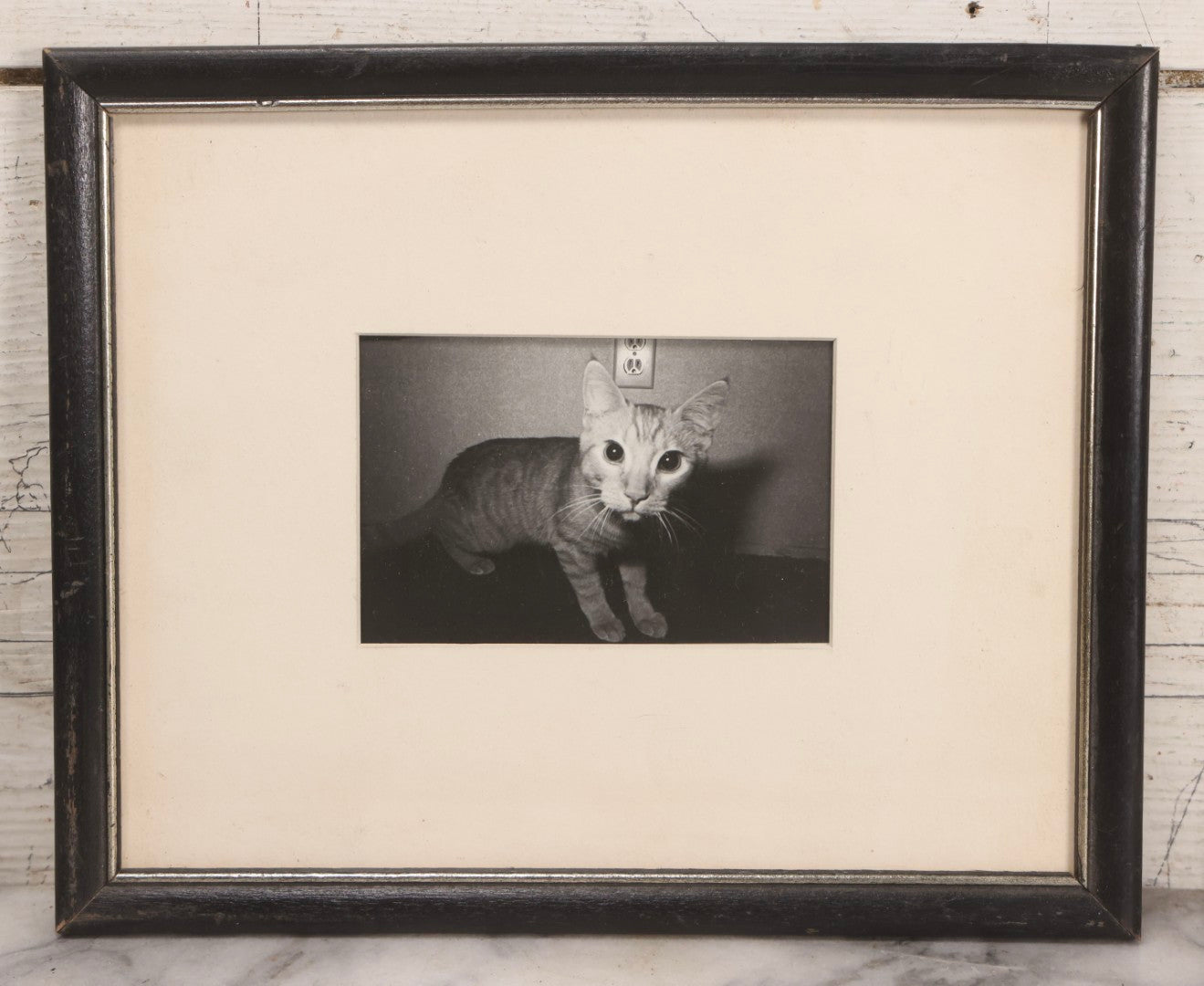 Lot 062 - Vintage Mid-Century Framed Black-And-White Photograph Of Cat, Unsigned