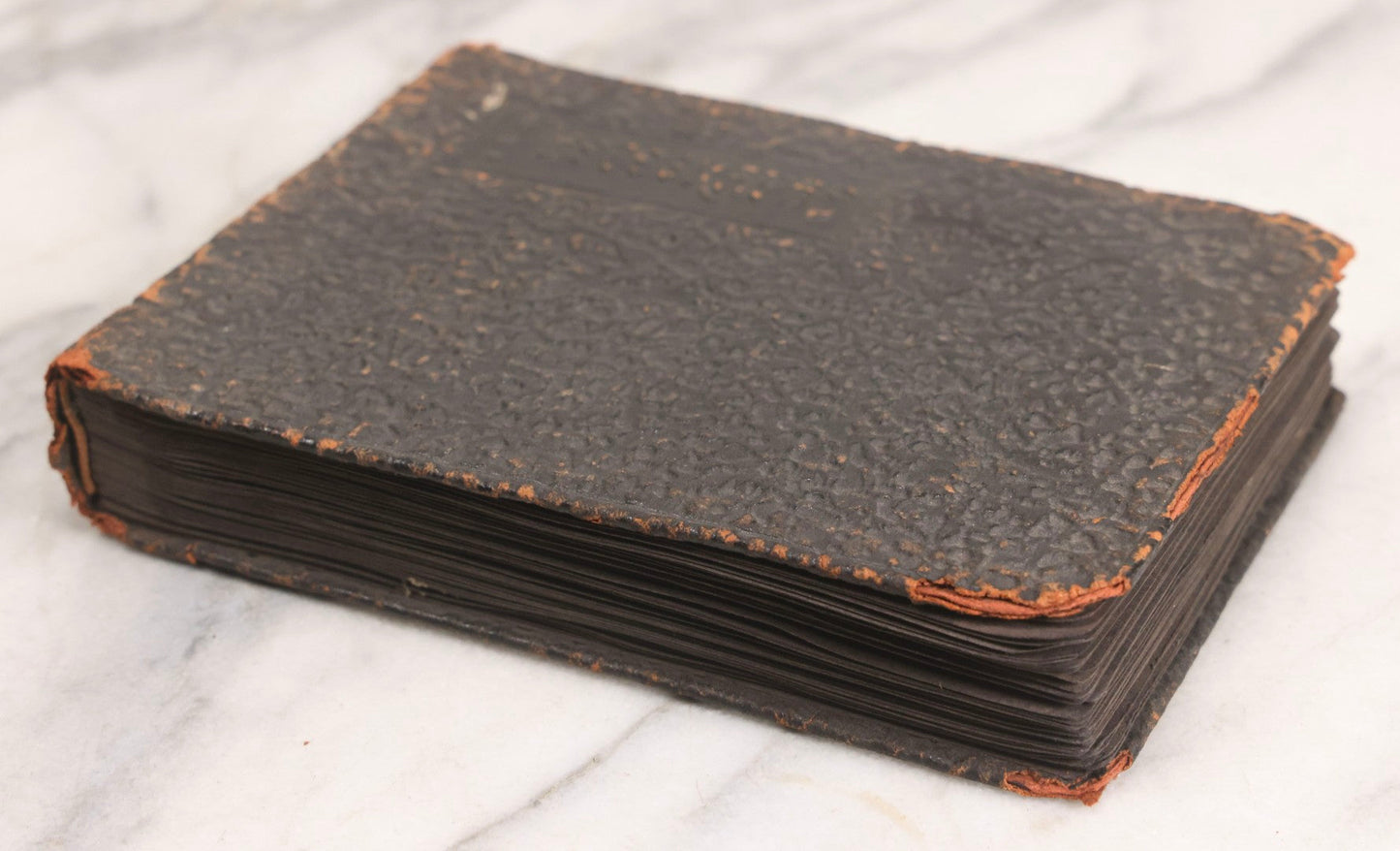 Lot 066 - Early 20th Century Snapshot Photo Album With 100+ Photographs, Camping, Travel, Dogs, Rural Life, And Outdoor Recreation, Circa 1910–1920