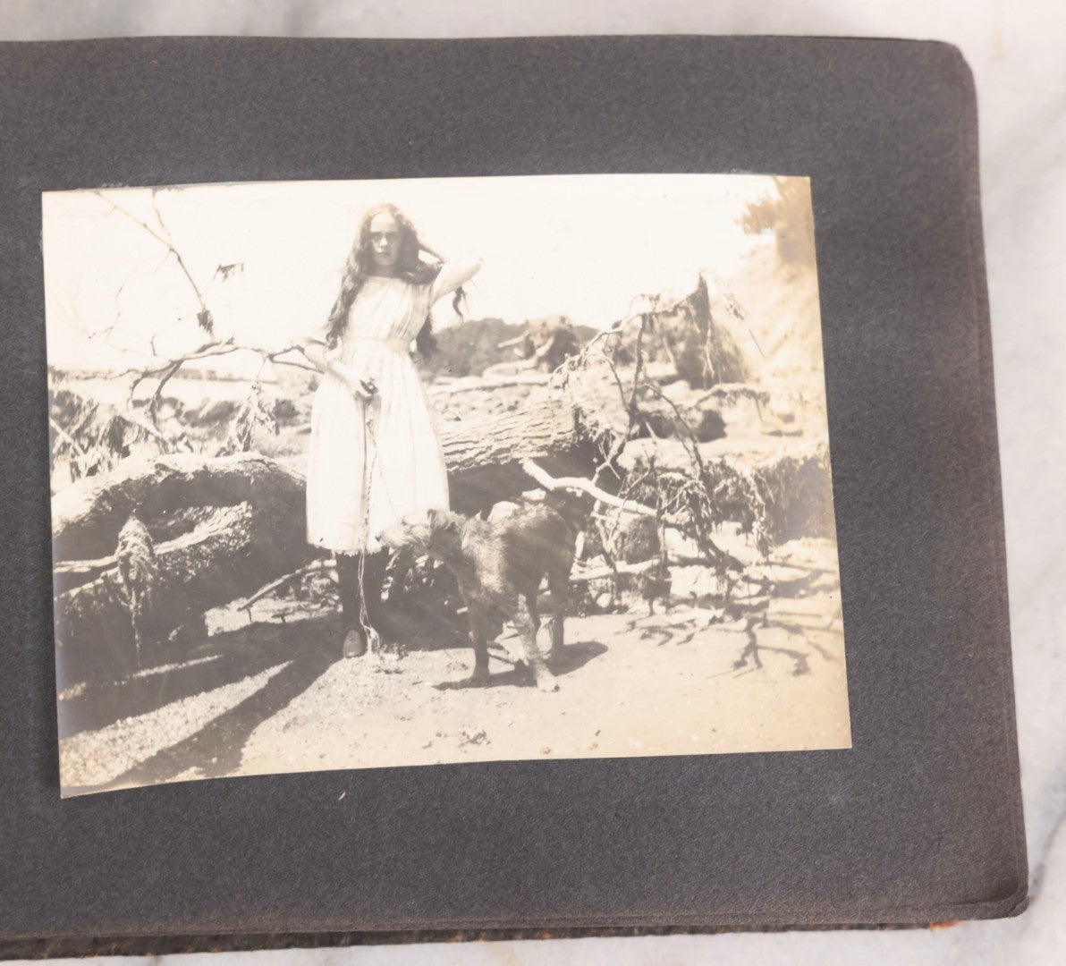 Lot 066 - Early 20th Century Snapshot Photo Album With 100+ Photographs, Camping, Travel, Dogs, Rural Life, And Outdoor Recreation, Circa 1910–1920