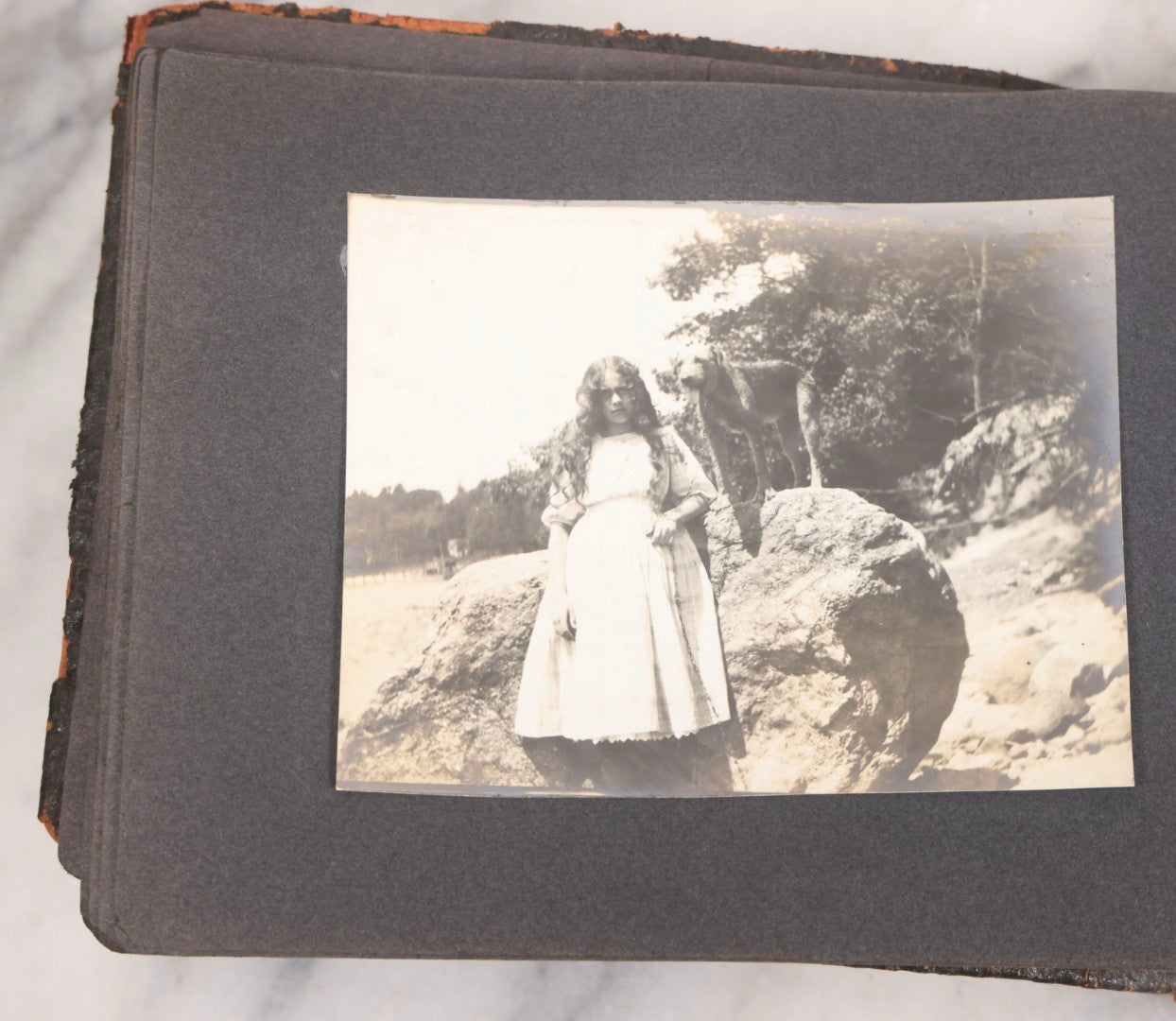 Lot 066 - Early 20th Century Snapshot Photo Album With 100+ Photographs, Camping, Travel, Dogs, Rural Life, And Outdoor Recreation, Circa 1910–1920