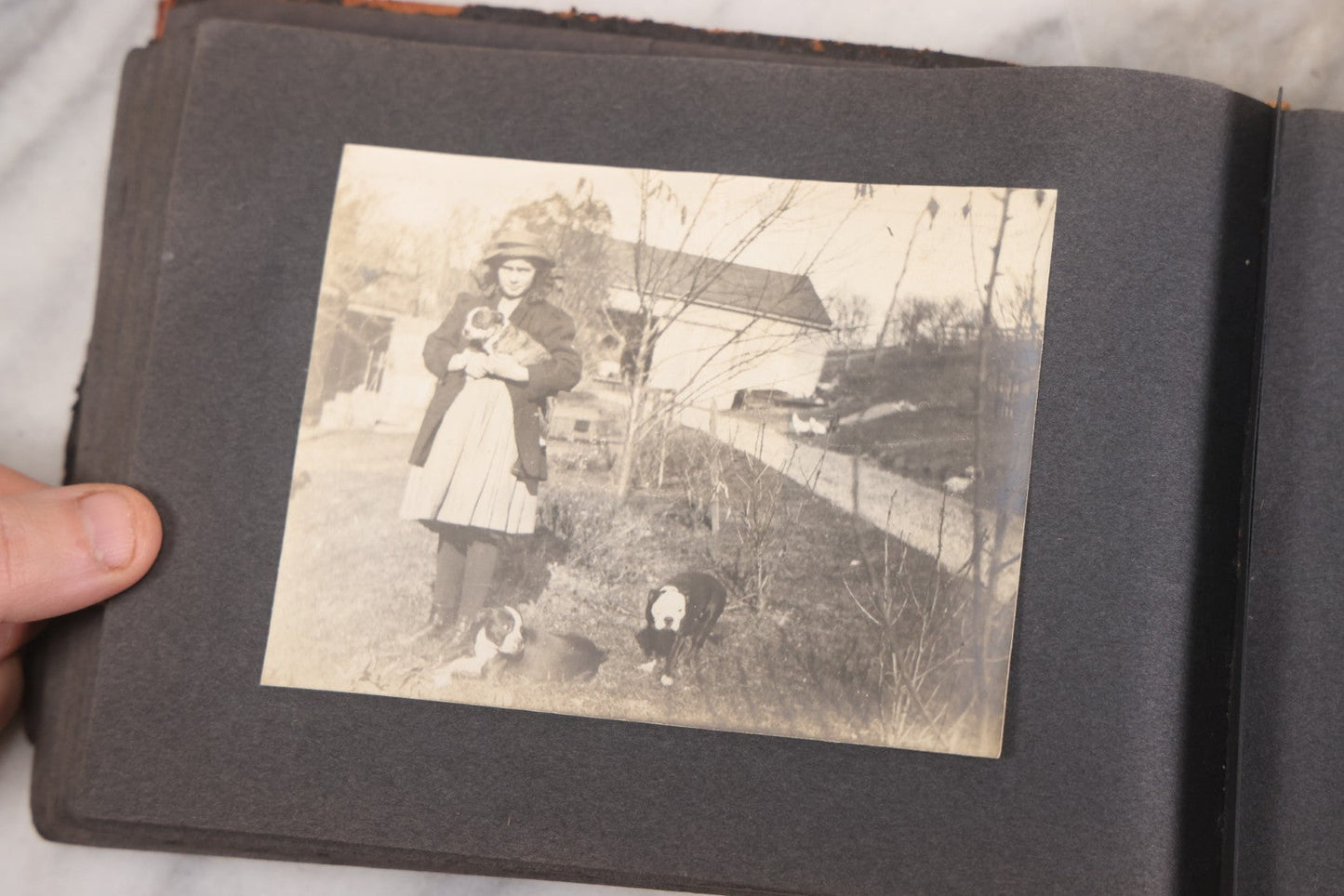 Lot 066 - Early 20th Century Snapshot Photo Album With 100+ Photographs, Camping, Travel, Dogs, Rural Life, And Outdoor Recreation, Circa 1910–1920