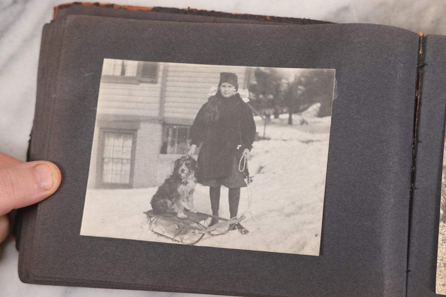 Lot 066 - Early 20th Century Snapshot Photo Album With 100+ Photographs, Camping, Travel, Dogs, Rural Life, And Outdoor Recreation, Circa 1910–1920