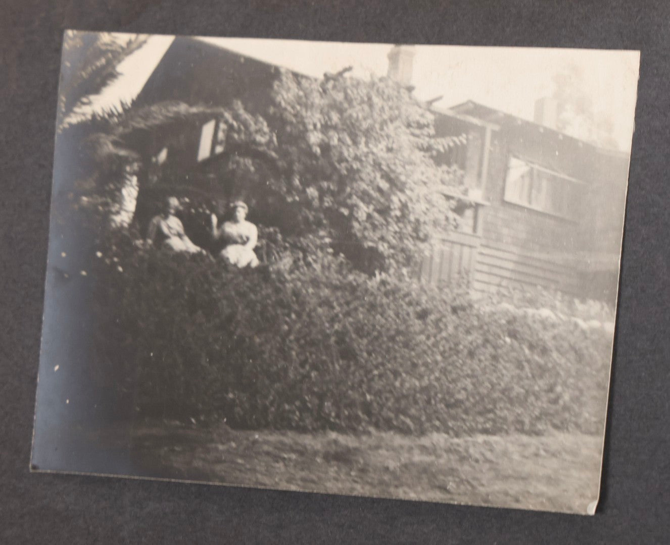 Lot 066 - Early 20th Century Snapshot Photo Album With 100+ Photographs, Camping, Travel, Dogs, Rural Life, And Outdoor Recreation, Circa 1910–1920