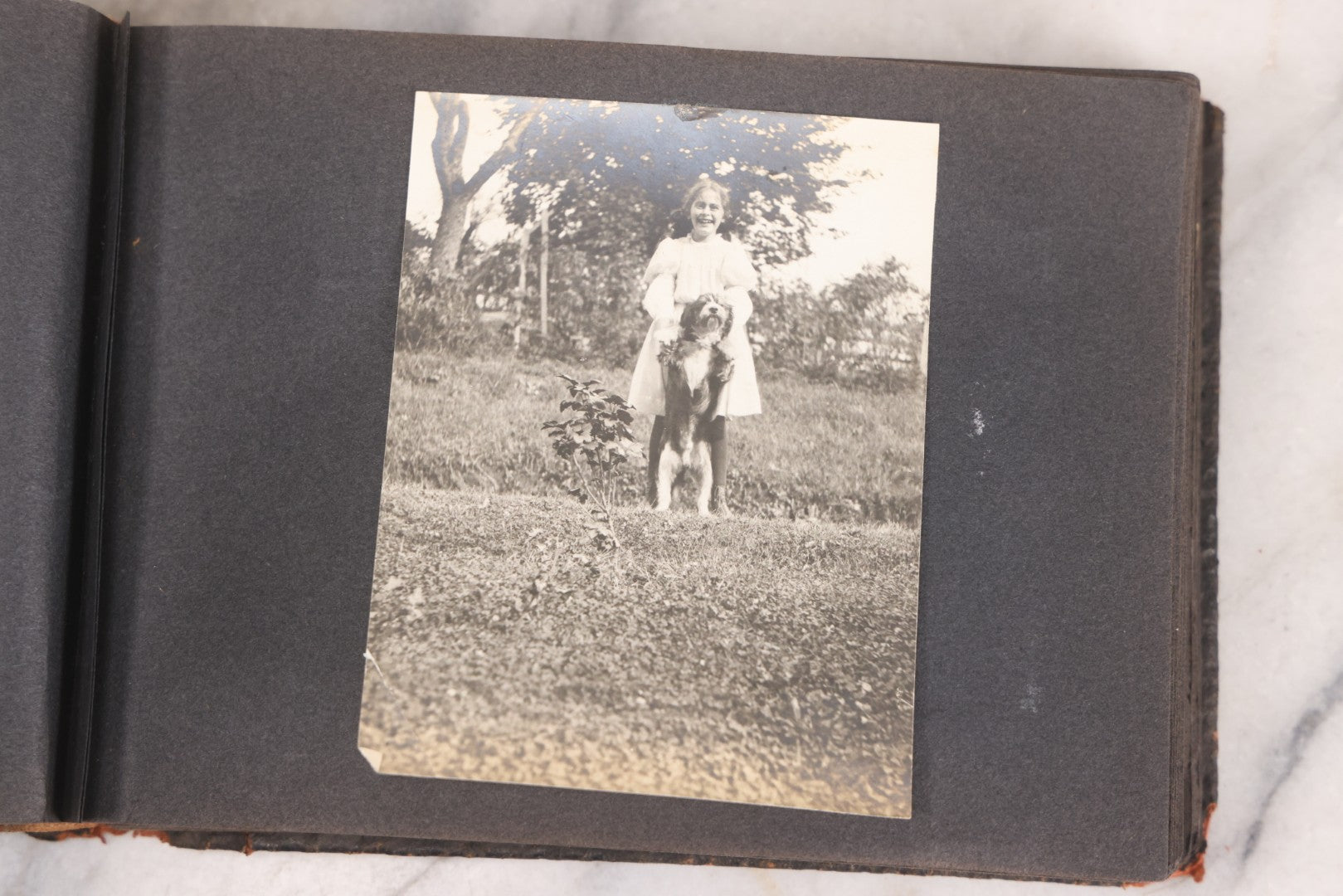 Lot 066 - Early 20th Century Snapshot Photo Album With 100+ Photographs, Camping, Travel, Dogs, Rural Life, And Outdoor Recreation, Circa 1910–1920