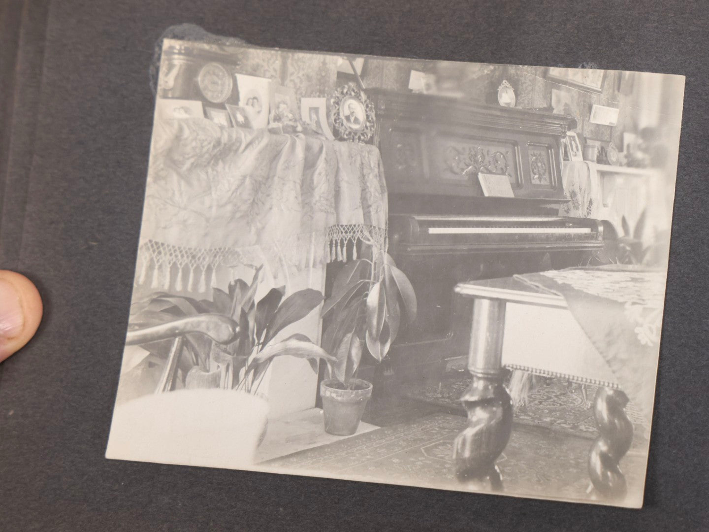 Lot 066 - Early 20th Century Snapshot Photo Album With 100+ Photographs, Camping, Travel, Dogs, Rural Life, And Outdoor Recreation, Circa 1910–1920