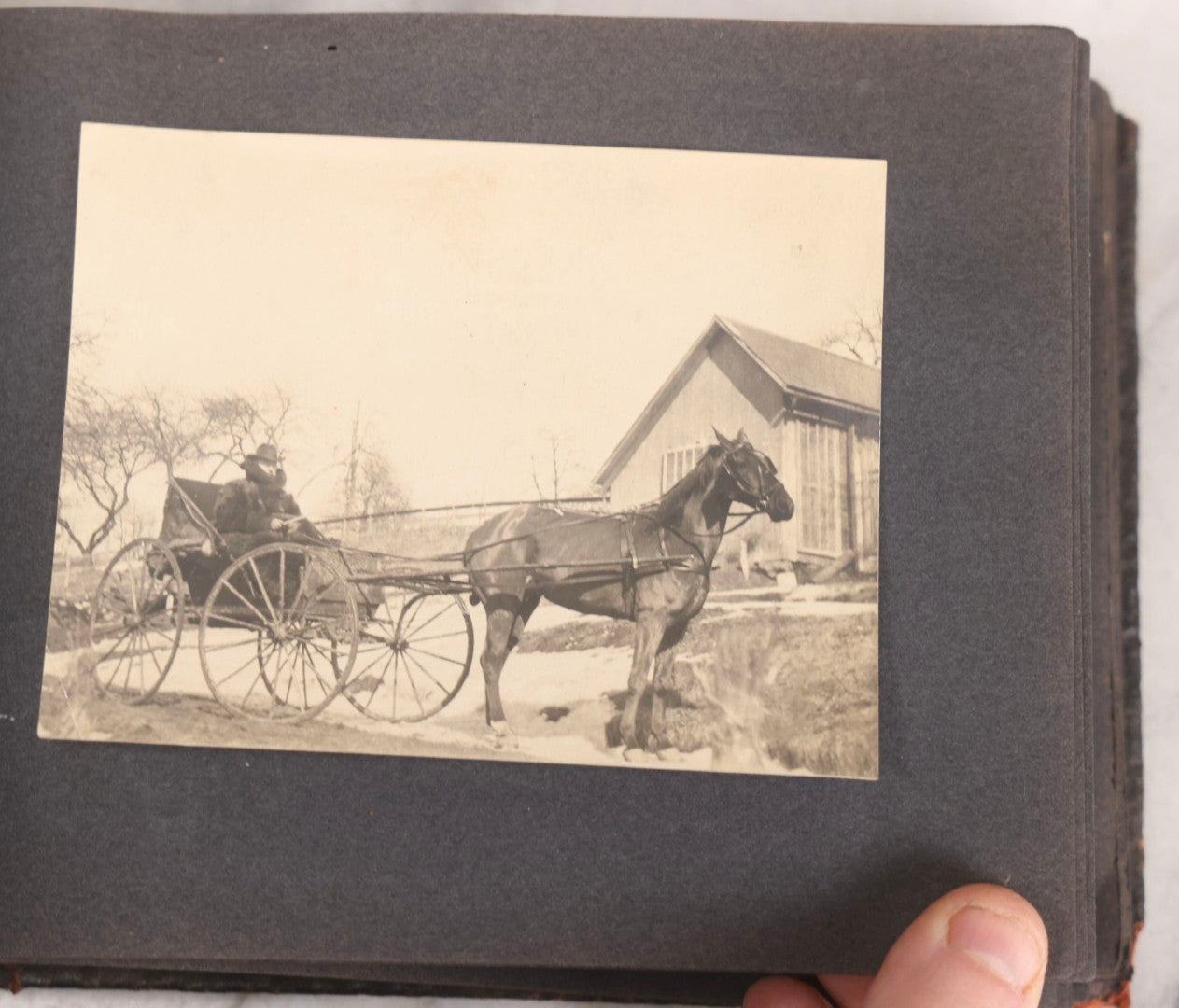 Lot 066 - Early 20th Century Snapshot Photo Album With 100+ Photographs, Camping, Travel, Dogs, Rural Life, And Outdoor Recreation, Circa 1910–1920