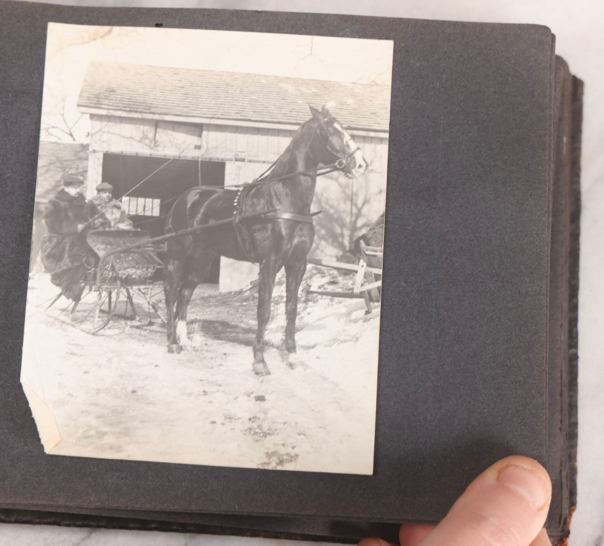 Lot 066 - Early 20th Century Snapshot Photo Album With 100+ Photographs, Camping, Travel, Dogs, Rural Life, And Outdoor Recreation, Circa 1910–1920