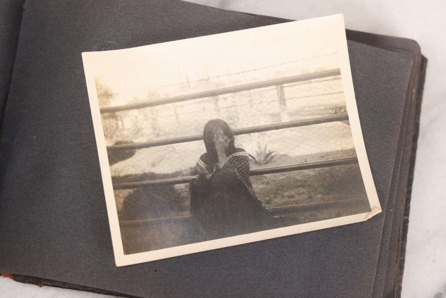 Lot 066 - Early 20th Century Snapshot Photo Album With 100+ Photographs, Camping, Travel, Dogs, Rural Life, And Outdoor Recreation, Circa 1910–1920