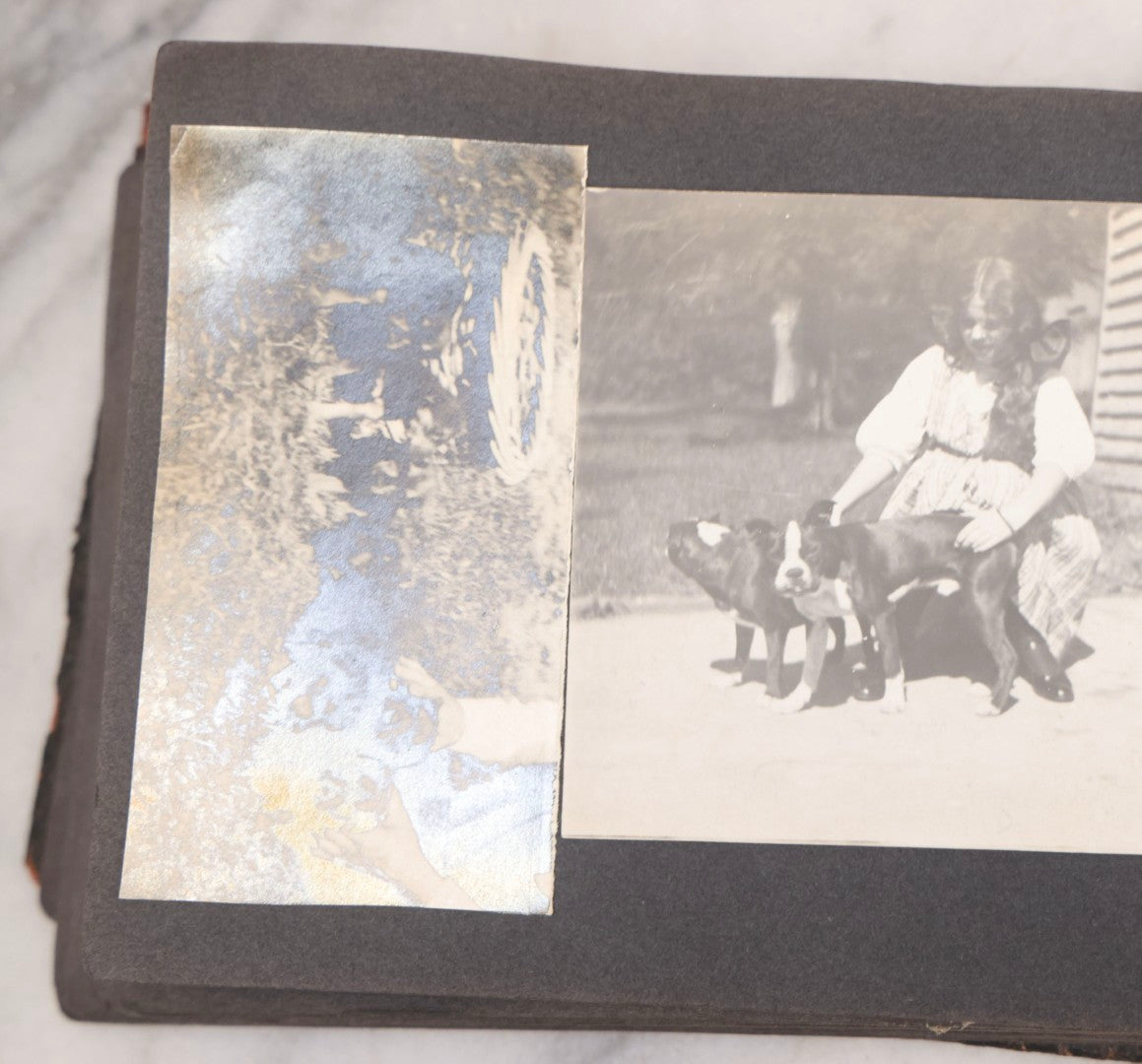 Lot 066 - Early 20th Century Snapshot Photo Album With 100+ Photographs, Camping, Travel, Dogs, Rural Life, And Outdoor Recreation, Circa 1910–1920