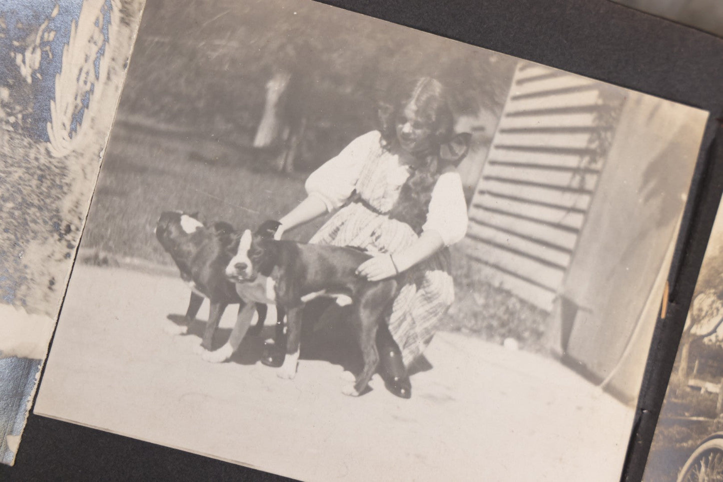 Lot 066 - Early 20th Century Snapshot Photo Album With 100+ Photographs, Camping, Travel, Dogs, Rural Life, And Outdoor Recreation, Circa 1910–1920