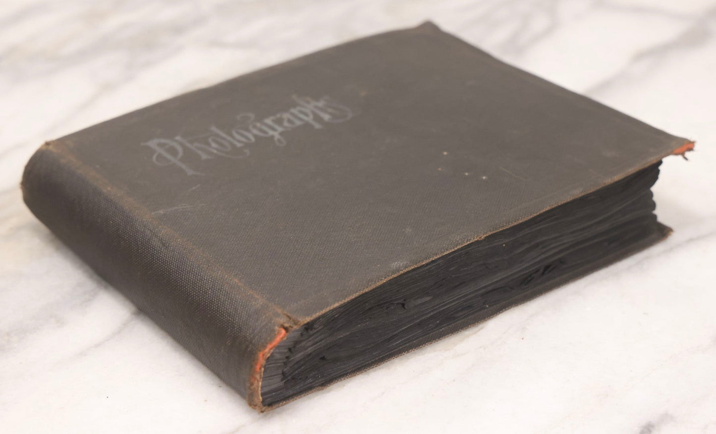 Lot 067 - Early 20th Century Snapshot Photo Album With 150+ Photographs, Connecticut And New England Travel, Horses, Dogs, And Coastal Scenes, Circa 1910–1920