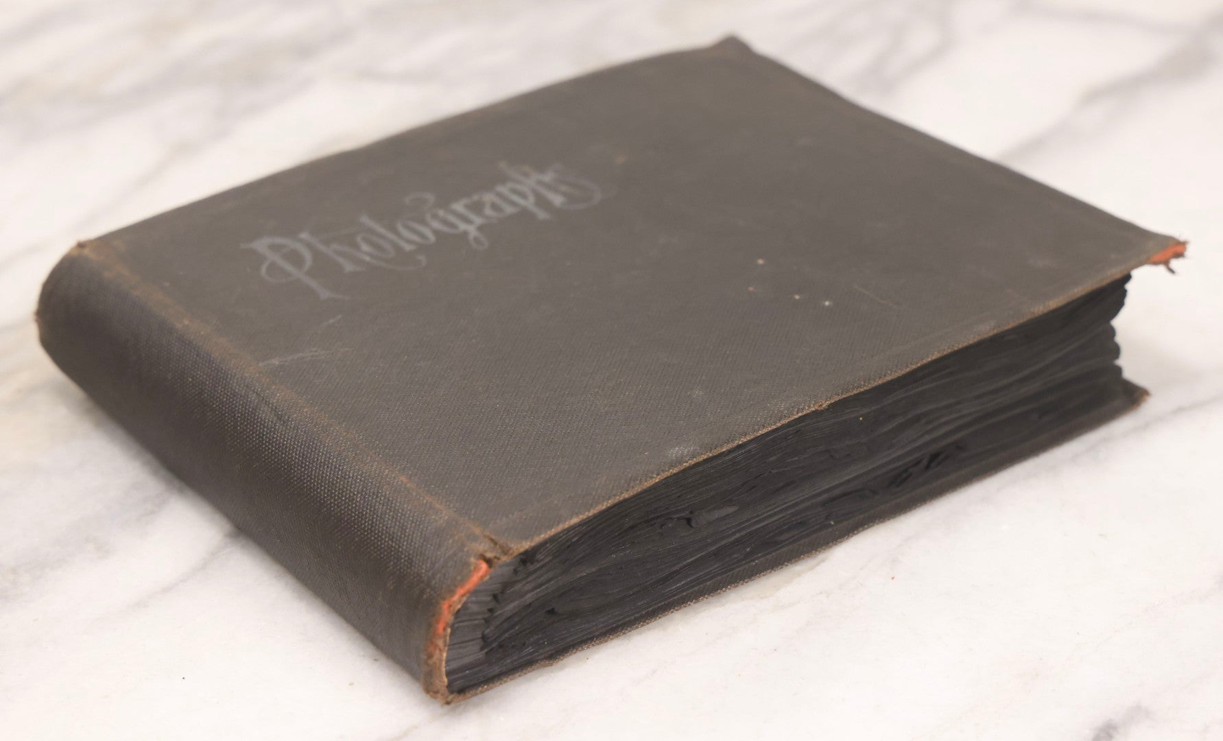 Lot 067 - Early 20th Century Snapshot Photo Album With 150+ Photographs, Connecticut And New England Travel, Horses, Dogs, And Coastal Scenes, Circa 1910–1920