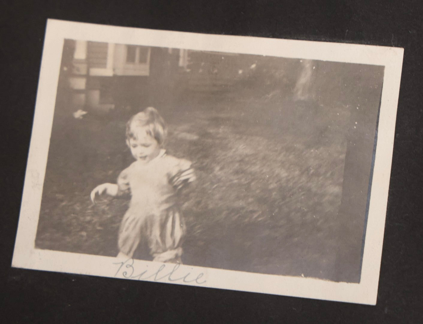 Lot 067 - Early 20th Century Snapshot Photo Album With 150+ Photographs, Connecticut And New England Travel, Horses, Dogs, And Coastal Scenes, Circa 1910–1920