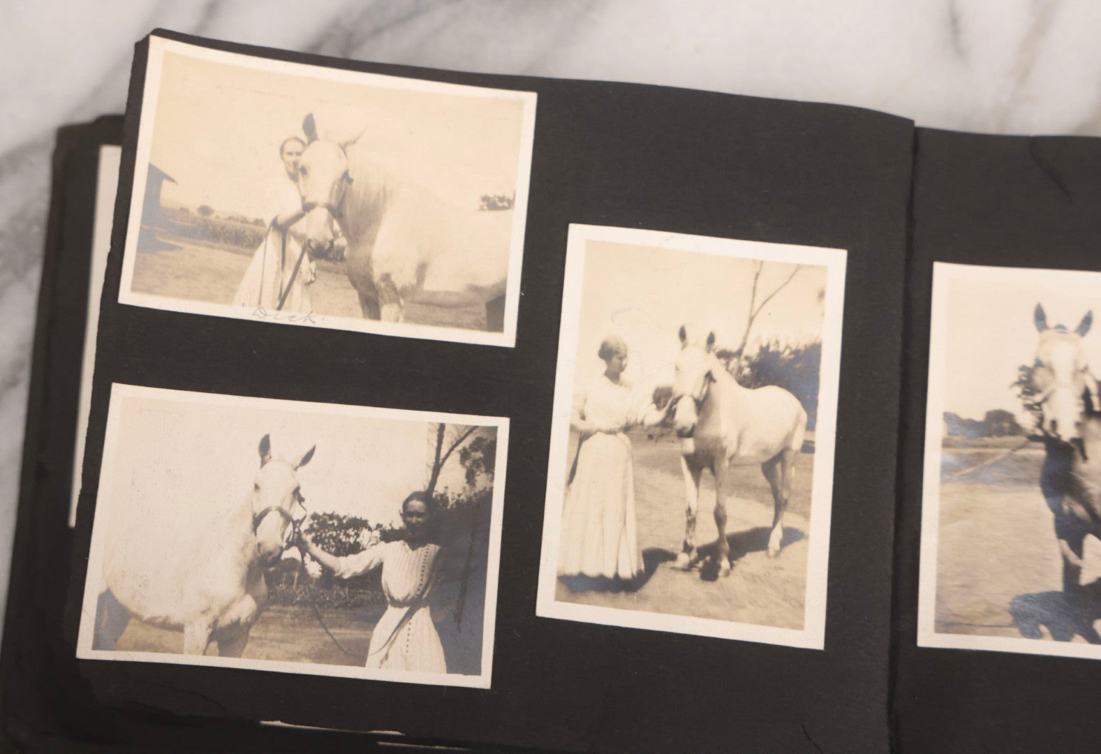 Lot 067 - Early 20th Century Snapshot Photo Album With 150+ Photographs, Connecticut And New England Travel, Horses, Dogs, And Coastal Scenes, Circa 1910–1920