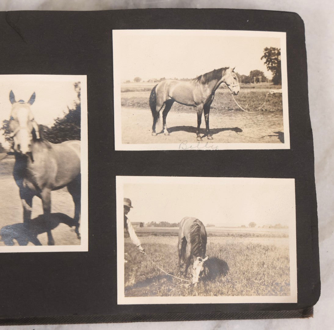 Lot 067 - Early 20th Century Snapshot Photo Album With 150+ Photographs, Connecticut And New England Travel, Horses, Dogs, And Coastal Scenes, Circa 1910–1920