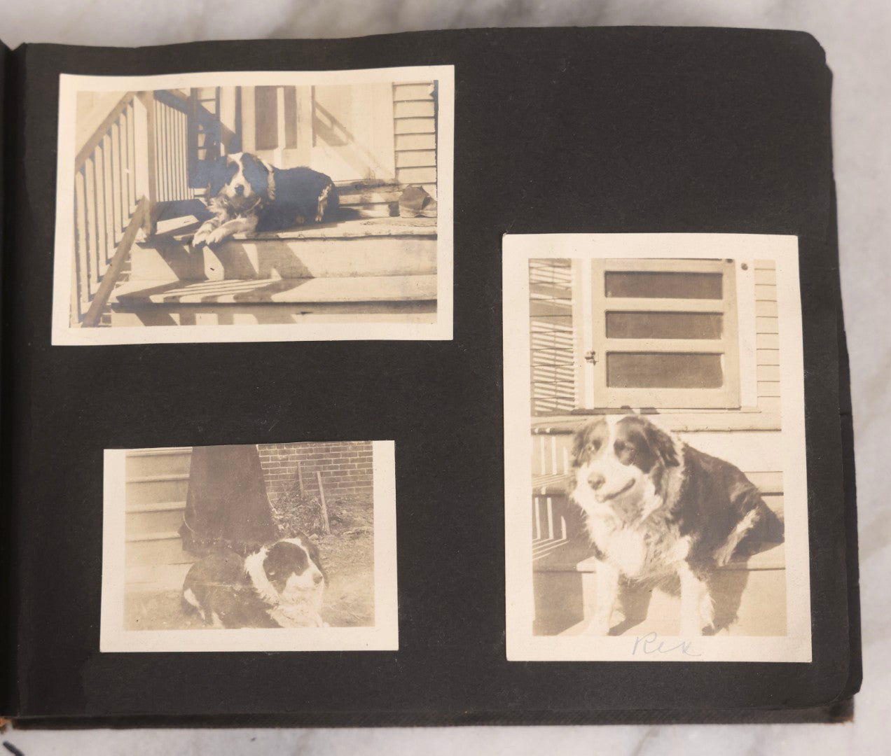 Lot 067 - Early 20th Century Snapshot Photo Album With 150+ Photographs, Connecticut And New England Travel, Horses, Dogs, And Coastal Scenes, Circa 1910–1920