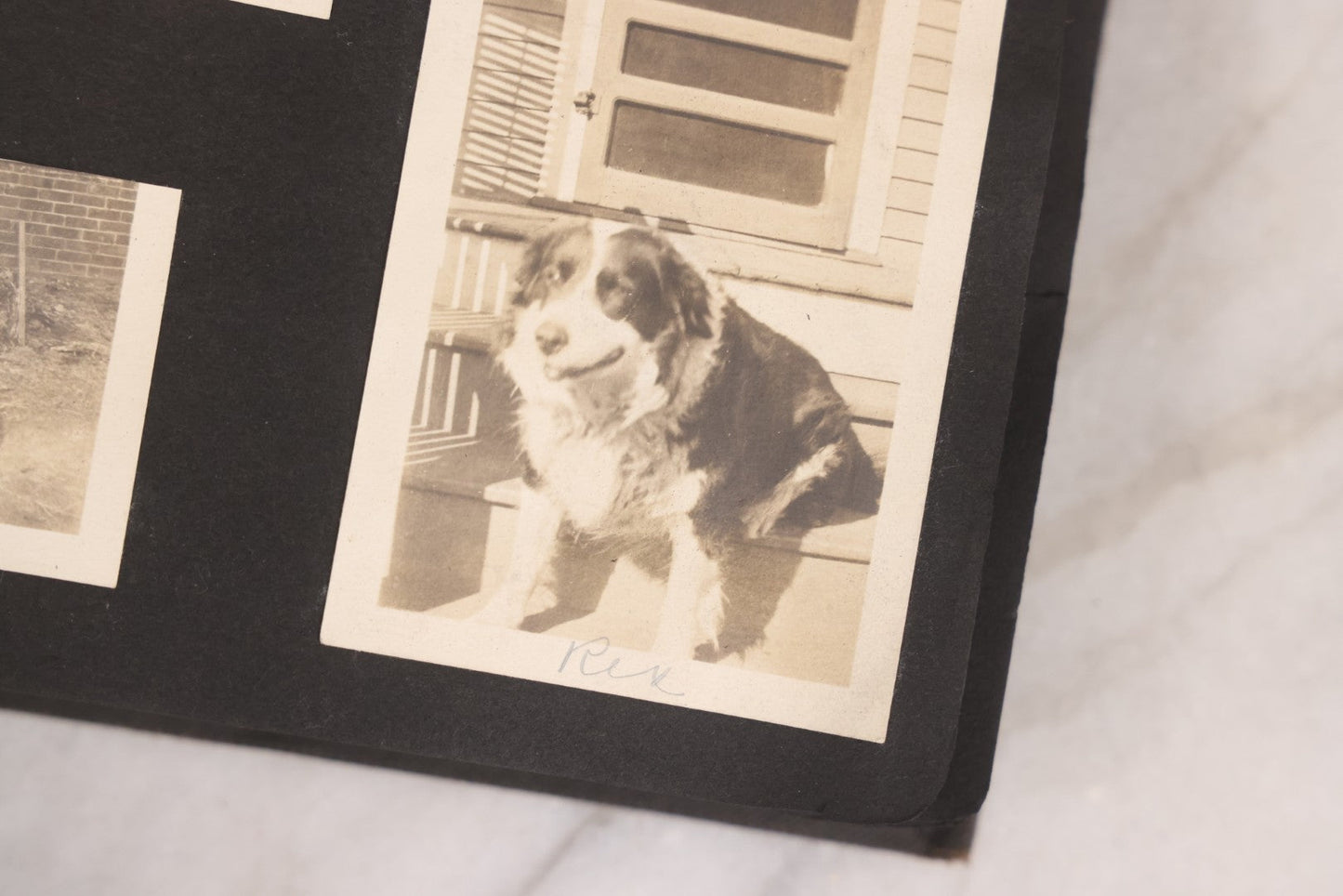 Lot 067 - Early 20th Century Snapshot Photo Album With 150+ Photographs, Connecticut And New England Travel, Horses, Dogs, And Coastal Scenes, Circa 1910–1920