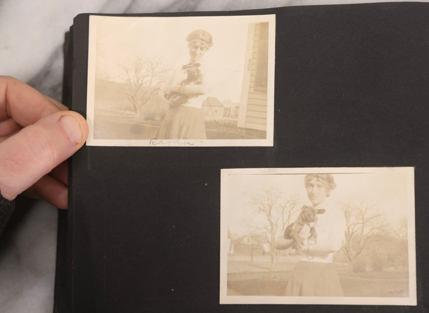 Lot 067 - Early 20th Century Snapshot Photo Album With 150+ Photographs, Connecticut And New England Travel, Horses, Dogs, And Coastal Scenes, Circa 1910–1920