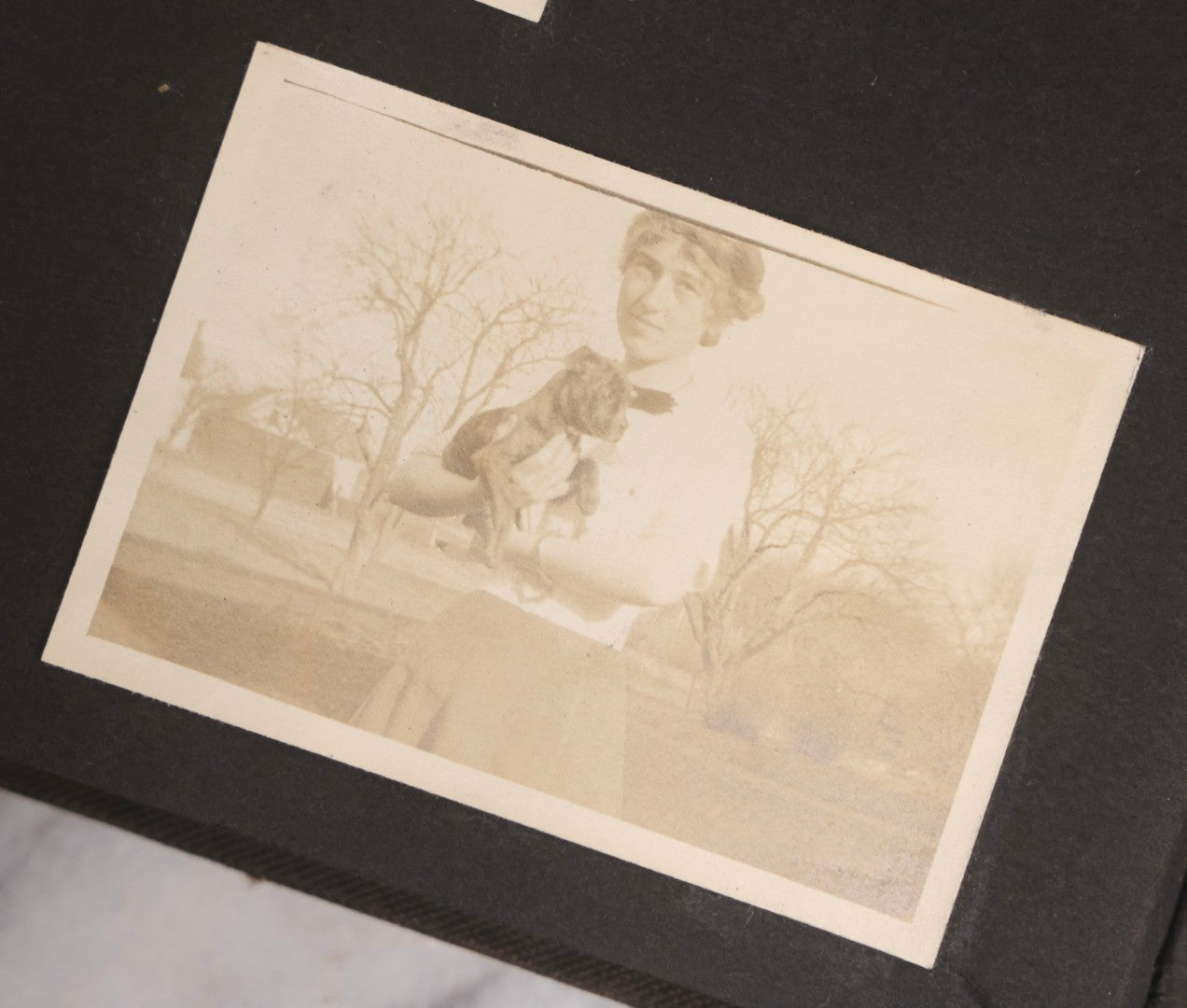 Lot 067 - Early 20th Century Snapshot Photo Album With 150+ Photographs, Connecticut And New England Travel, Horses, Dogs, And Coastal Scenes, Circa 1910–1920