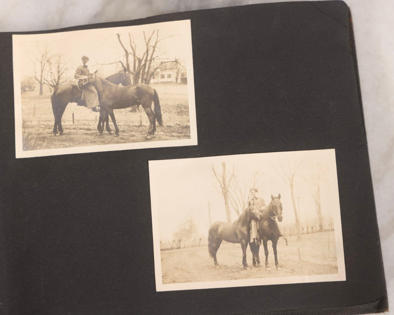 Lot 067 - Early 20th Century Snapshot Photo Album With 150+ Photographs, Connecticut And New England Travel, Horses, Dogs, And Coastal Scenes, Circa 1910–1920