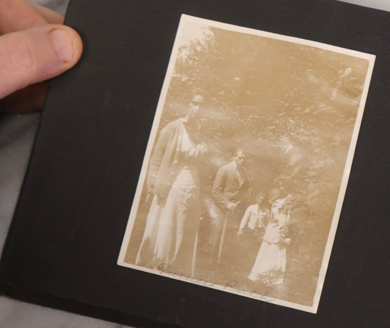 Lot 067 - Early 20th Century Snapshot Photo Album With 150+ Photographs, Connecticut And New England Travel, Horses, Dogs, And Coastal Scenes, Circa 1910–1920
