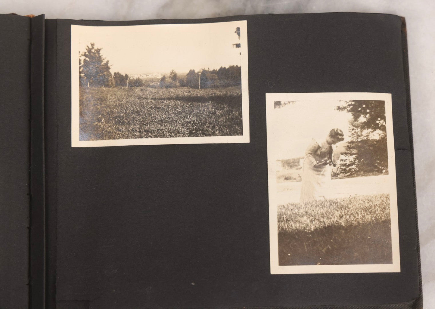 Lot 067 - Early 20th Century Snapshot Photo Album With 150+ Photographs, Connecticut And New England Travel, Horses, Dogs, And Coastal Scenes, Circa 1910–1920