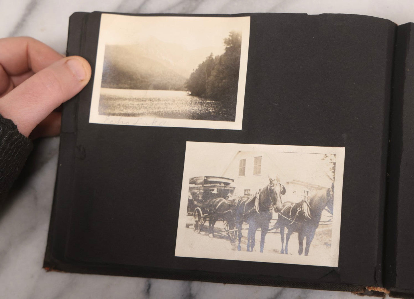 Lot 067 - Early 20th Century Snapshot Photo Album With 150+ Photographs, Connecticut And New England Travel, Horses, Dogs, And Coastal Scenes, Circa 1910–1920