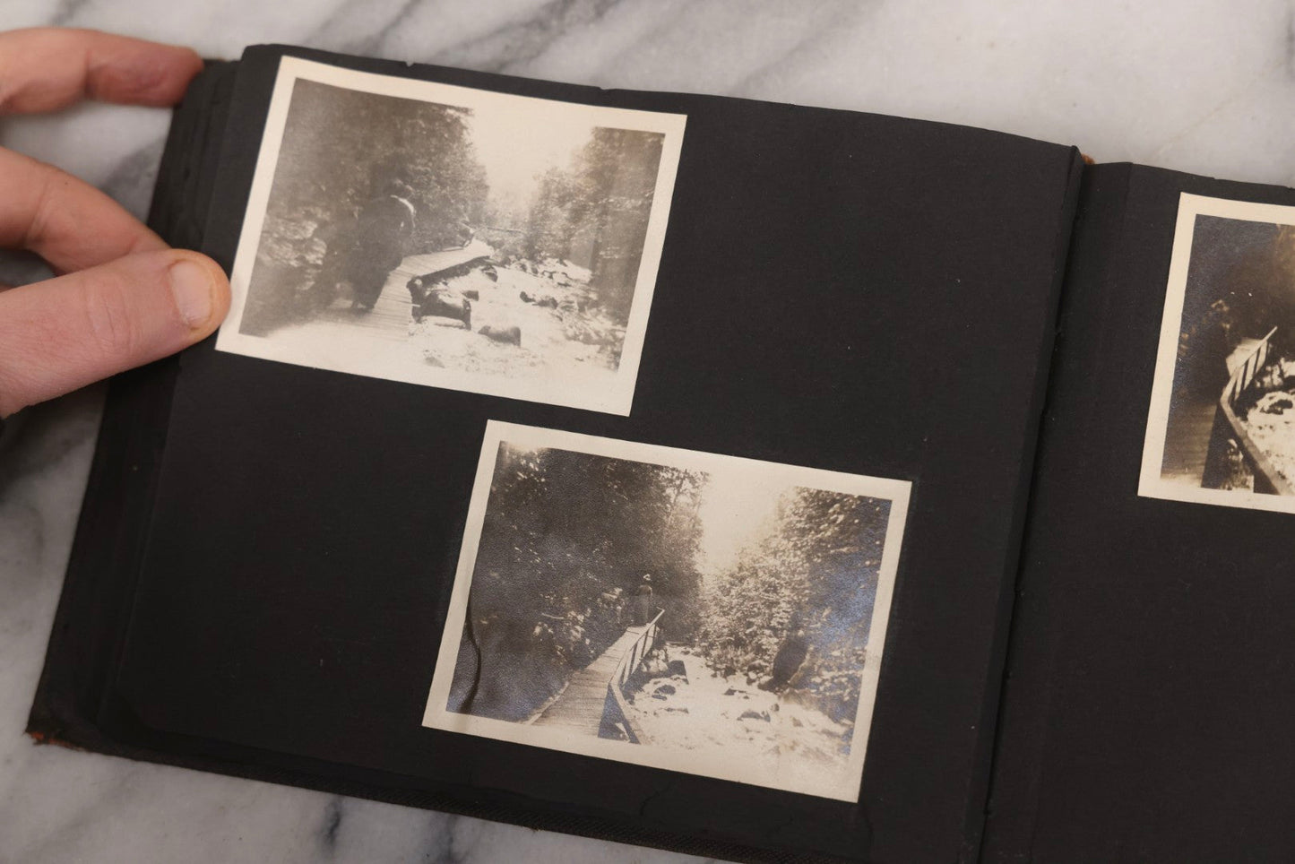 Lot 067 - Early 20th Century Snapshot Photo Album With 150+ Photographs, Connecticut And New England Travel, Horses, Dogs, And Coastal Scenes, Circa 1910–1920