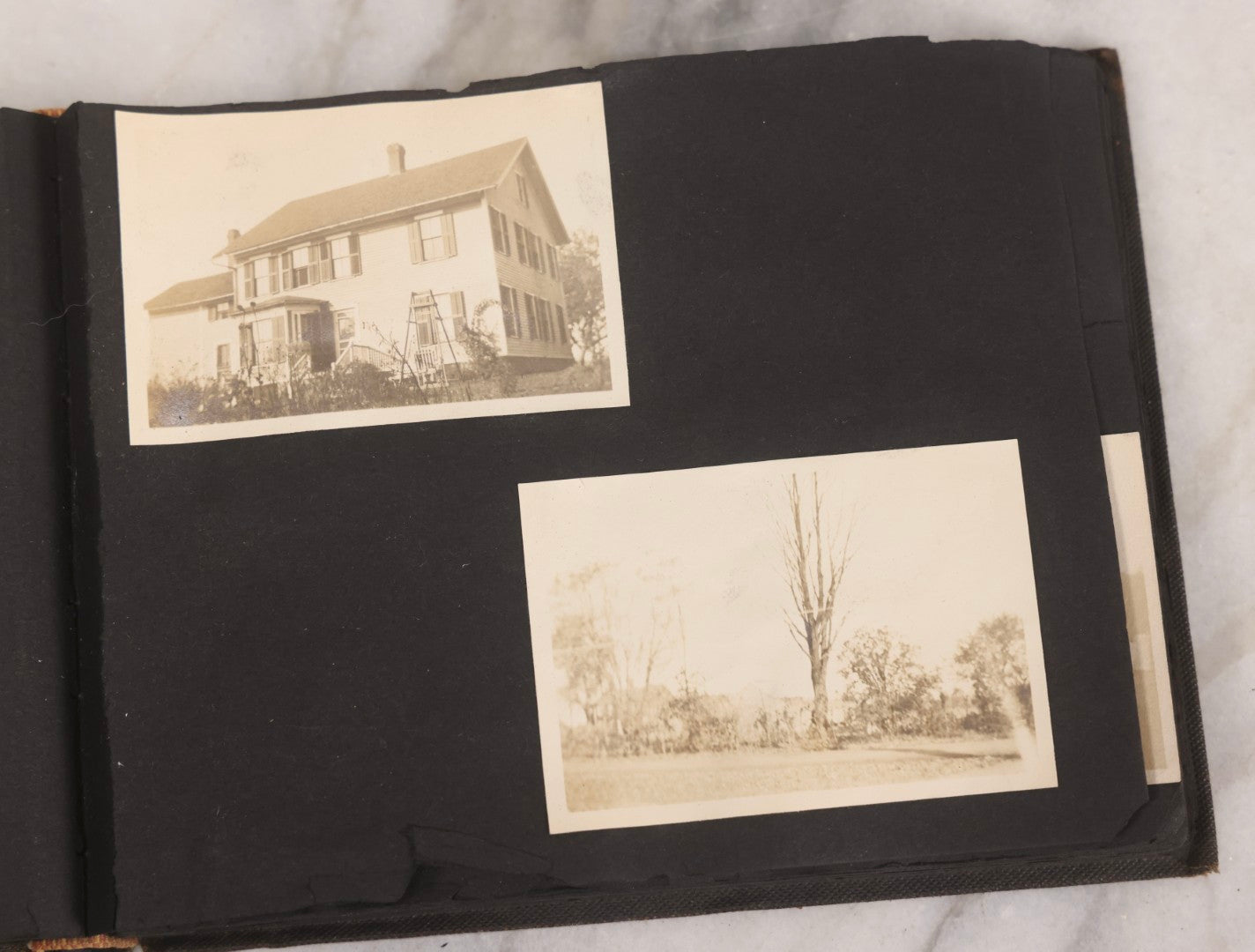 Lot 067 - Early 20th Century Snapshot Photo Album With 150+ Photographs, Connecticut And New England Travel, Horses, Dogs, And Coastal Scenes, Circa 1910–1920