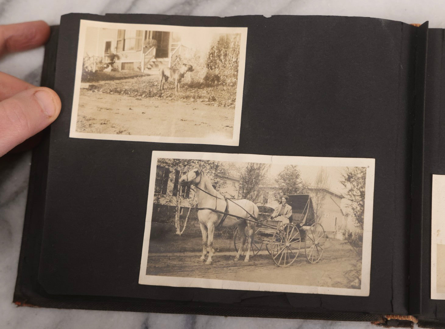 Lot 067 - Early 20th Century Snapshot Photo Album With 150+ Photographs, Connecticut And New England Travel, Horses, Dogs, And Coastal Scenes, Circa 1910–1920