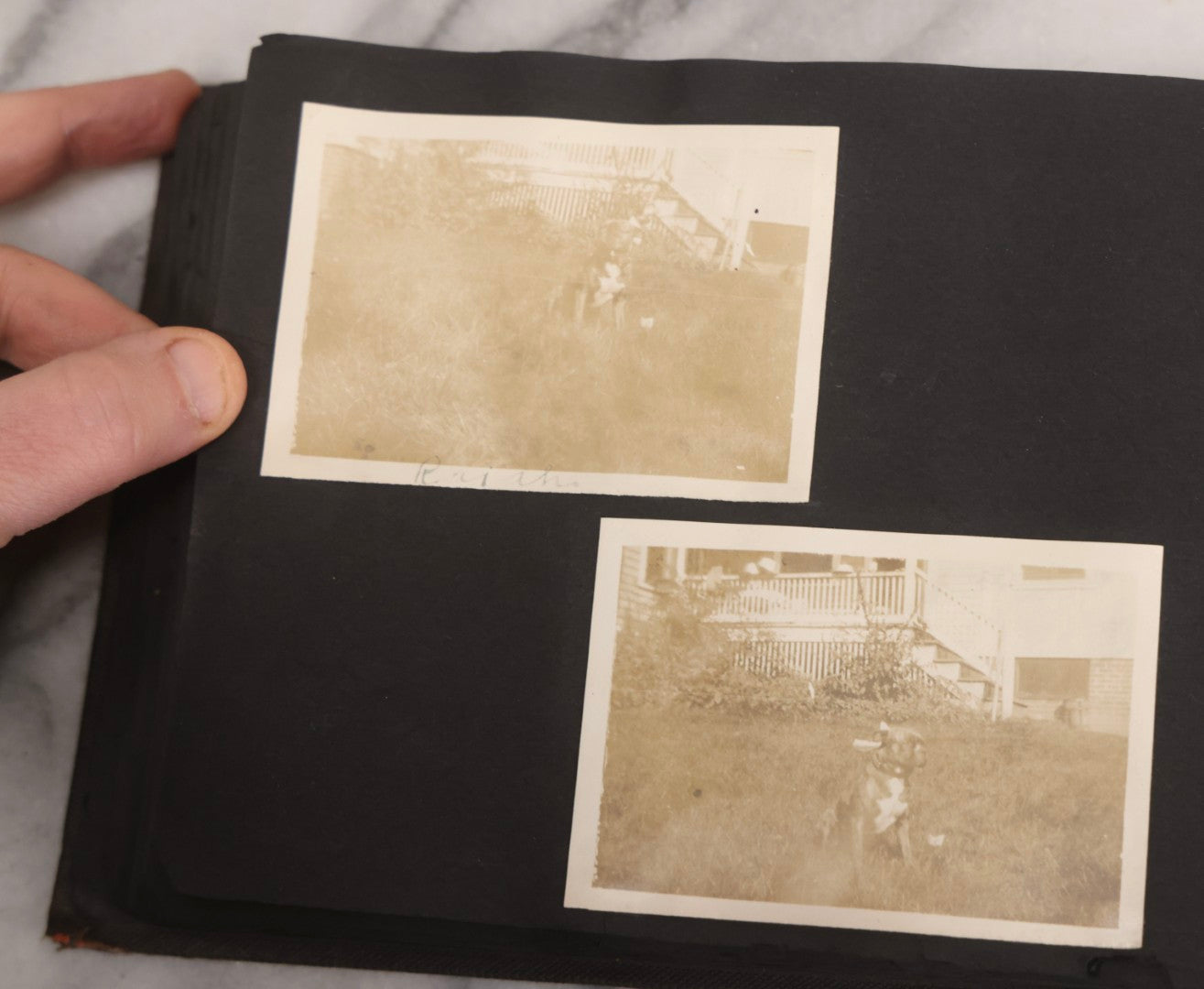 Lot 067 - Early 20th Century Snapshot Photo Album With 150+ Photographs, Connecticut And New England Travel, Horses, Dogs, And Coastal Scenes, Circa 1910–1920