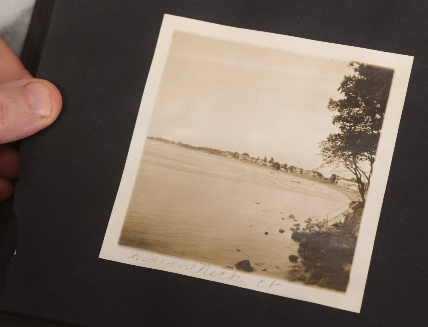 Lot 067 - Early 20th Century Snapshot Photo Album With 150+ Photographs, Connecticut And New England Travel, Horses, Dogs, And Coastal Scenes, Circa 1910–1920