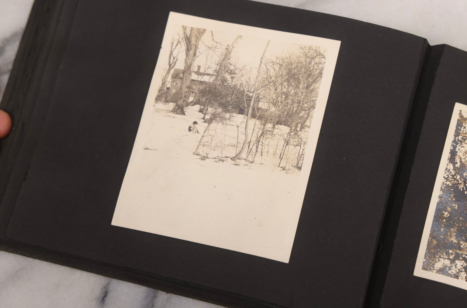 Lot 067 - Early 20th Century Snapshot Photo Album With 150+ Photographs, Connecticut And New England Travel, Horses, Dogs, And Coastal Scenes, Circa 1910–1920