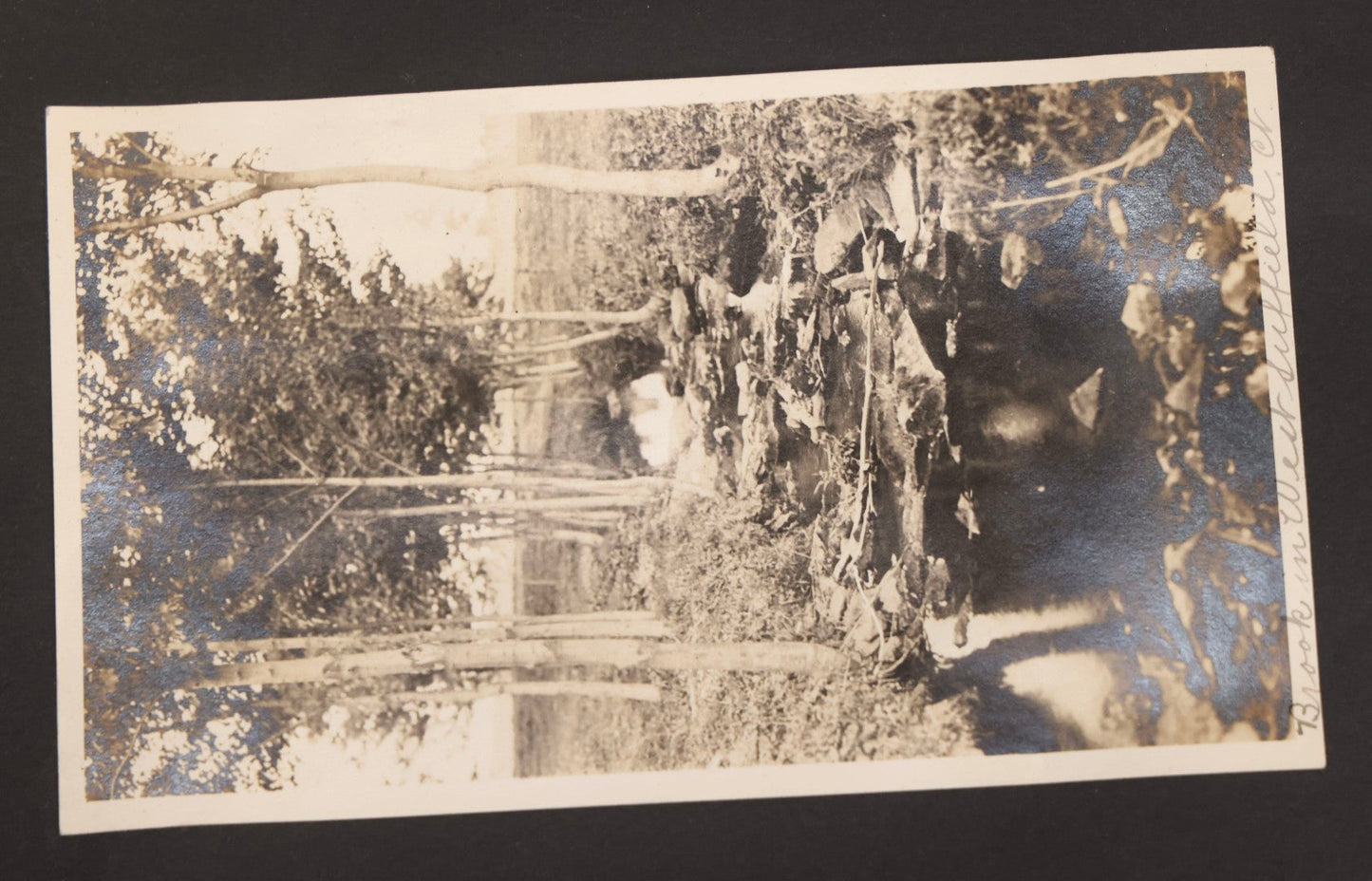 Lot 067 - Early 20th Century Snapshot Photo Album With 150+ Photographs, Connecticut And New England Travel, Horses, Dogs, And Coastal Scenes, Circa 1910–1920