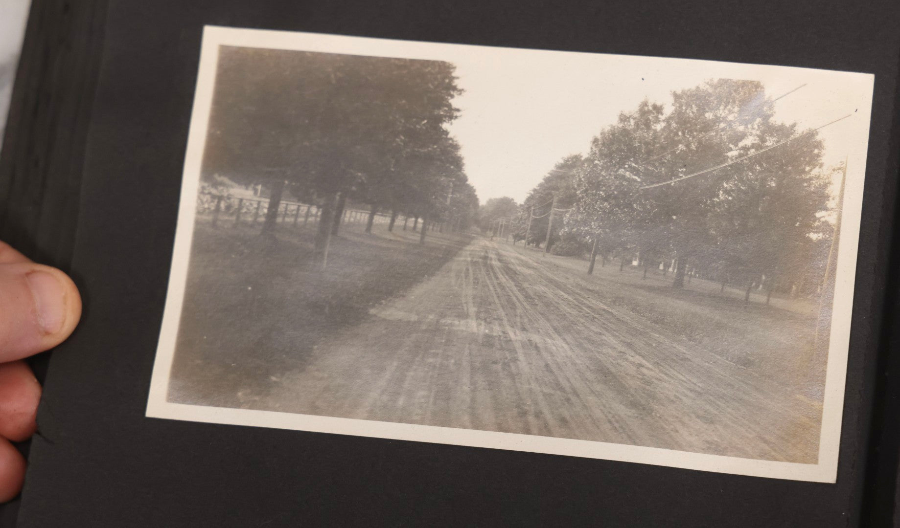 Lot 067 - Early 20th Century Snapshot Photo Album With 150+ Photographs, Connecticut And New England Travel, Horses, Dogs, And Coastal Scenes, Circa 1910–1920