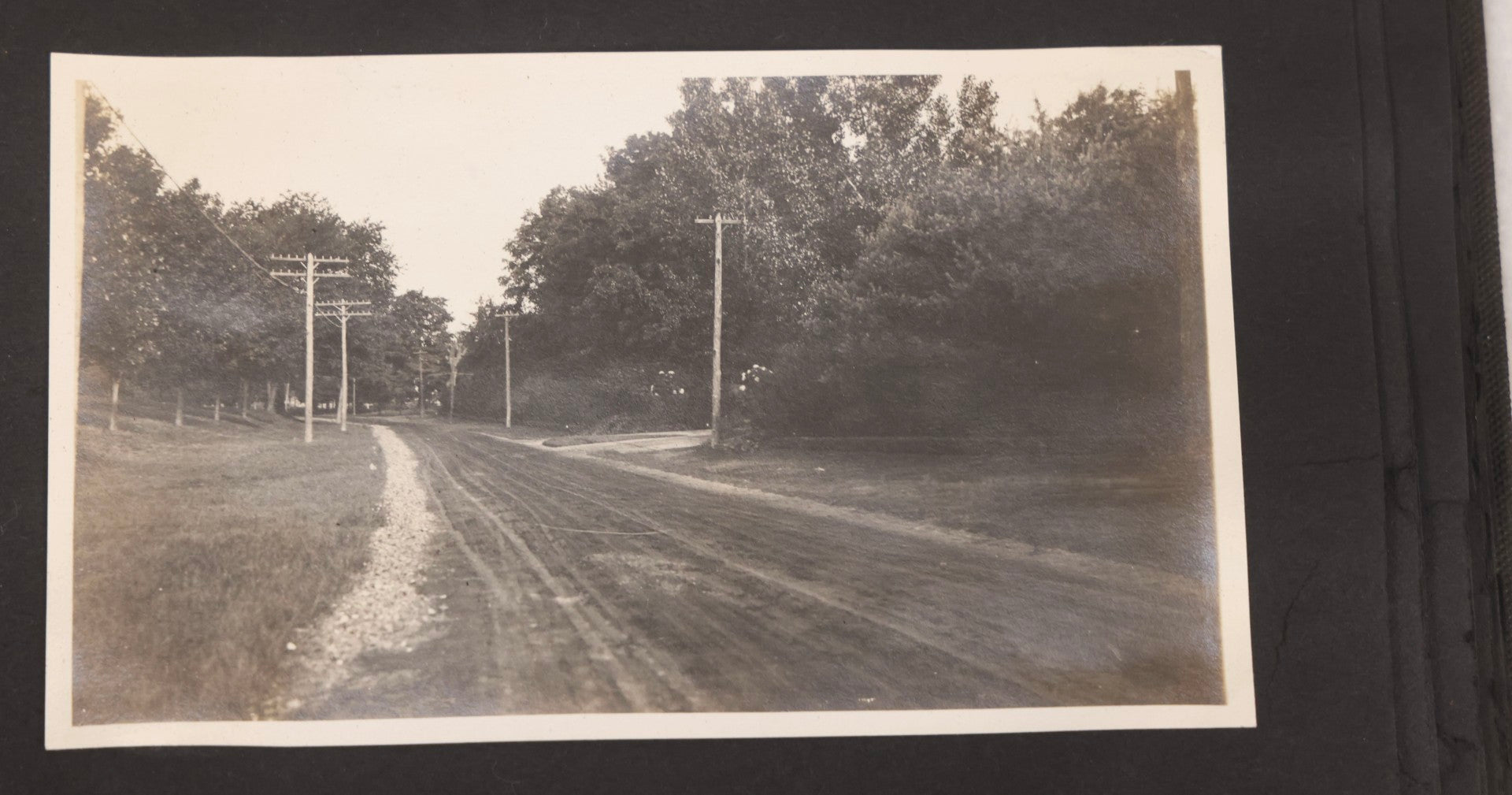 Lot 067 - Early 20th Century Snapshot Photo Album With 150+ Photographs, Connecticut And New England Travel, Horses, Dogs, And Coastal Scenes, Circa 1910–1920