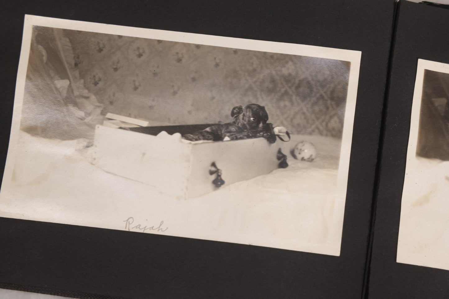 Lot 067 - Early 20th Century Snapshot Photo Album With 150+ Photographs, Connecticut And New England Travel, Horses, Dogs, And Coastal Scenes, Circa 1910–1920