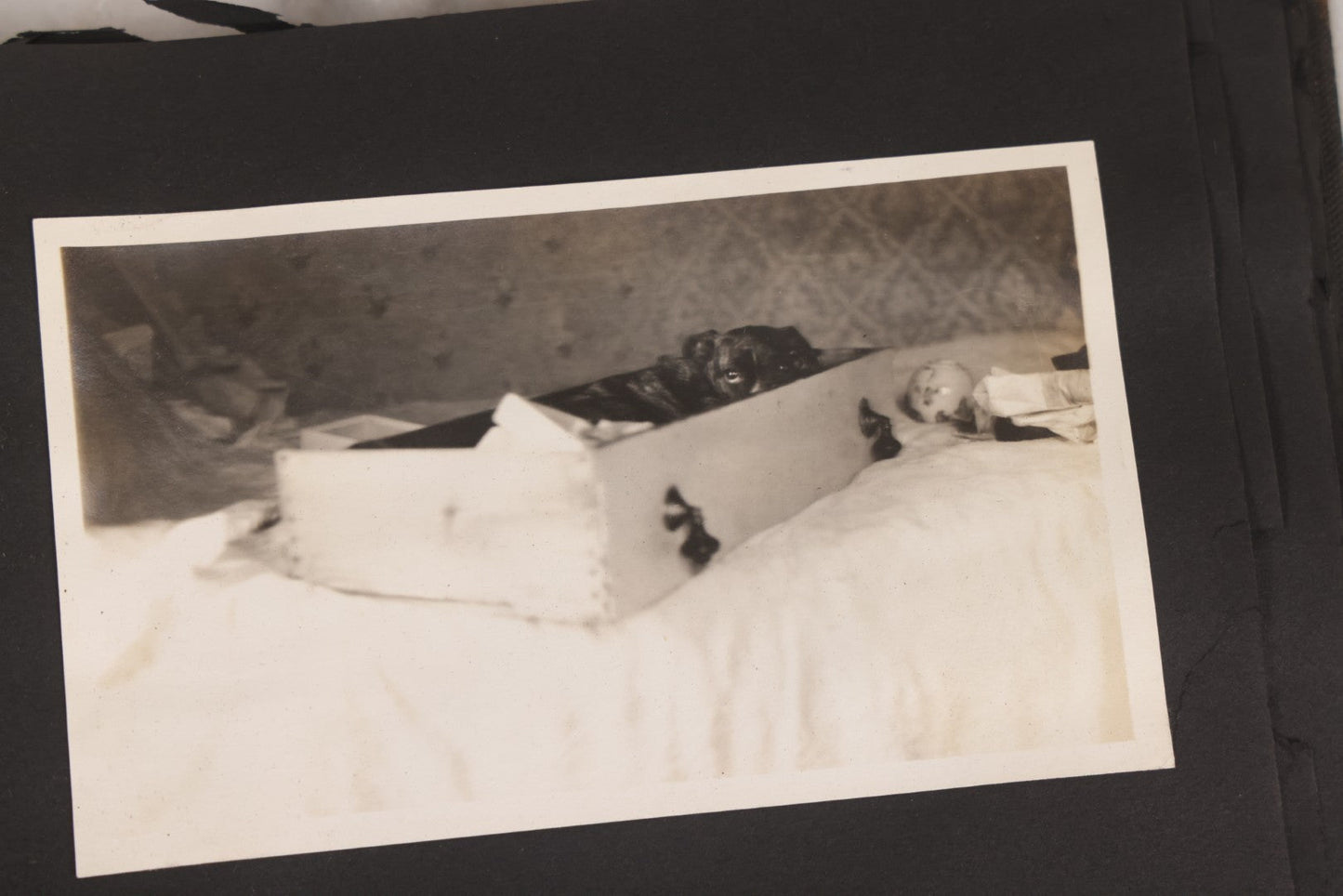 Lot 067 - Early 20th Century Snapshot Photo Album With 150+ Photographs, Connecticut And New England Travel, Horses, Dogs, And Coastal Scenes, Circa 1910–1920