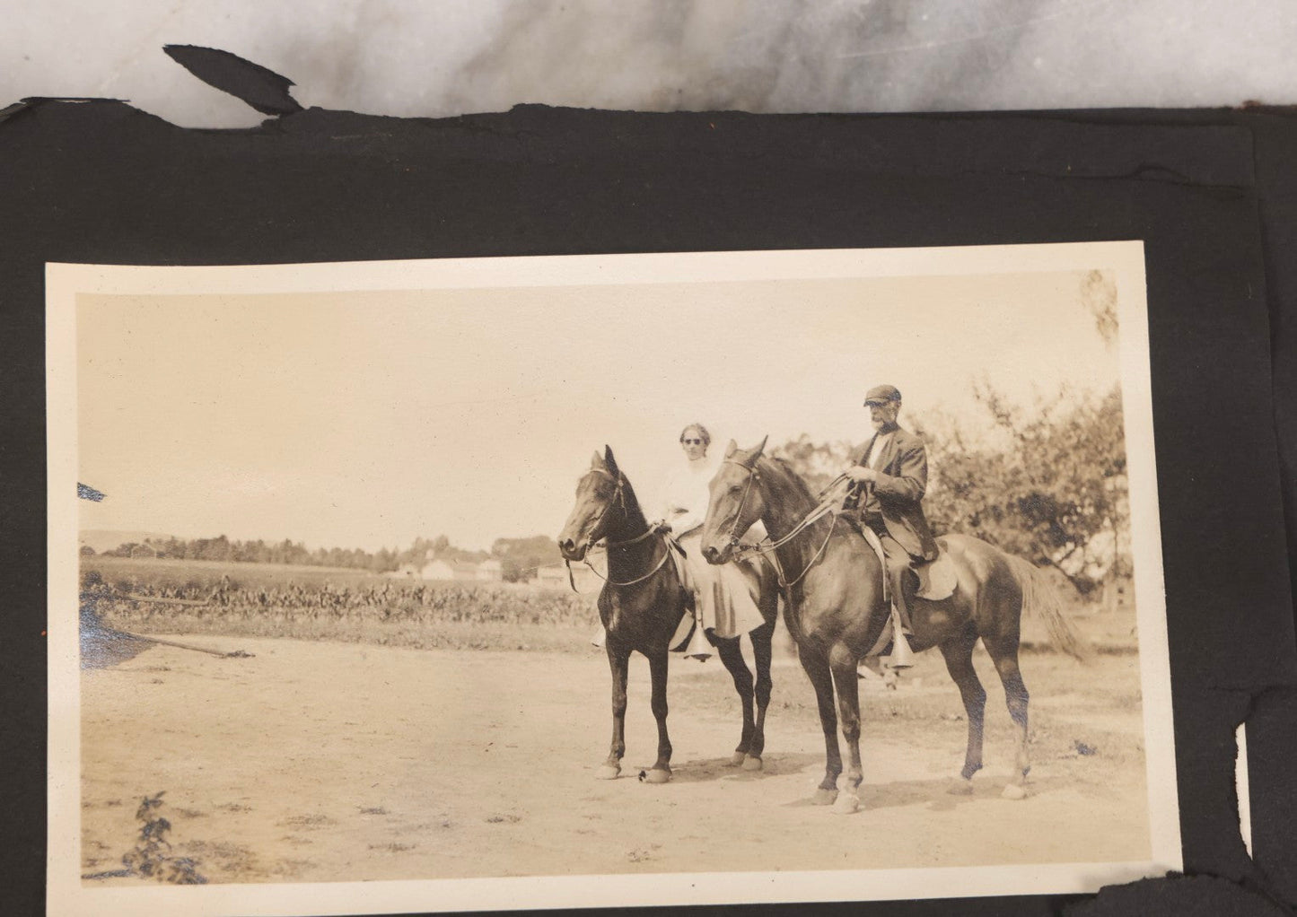 Lot 067 - Early 20th Century Snapshot Photo Album With 150+ Photographs, Connecticut And New England Travel, Horses, Dogs, And Coastal Scenes, Circa 1910–1920