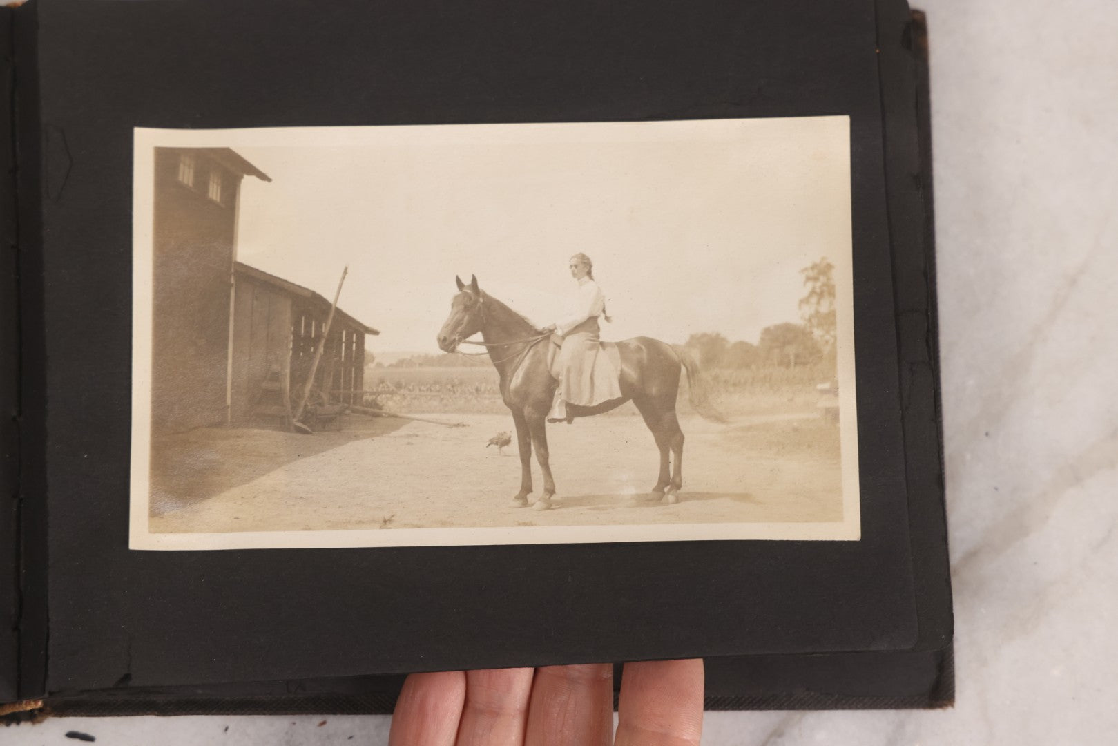 Lot 067 - Early 20th Century Snapshot Photo Album With 150+ Photographs, Connecticut And New England Travel, Horses, Dogs, And Coastal Scenes, Circa 1910–1920