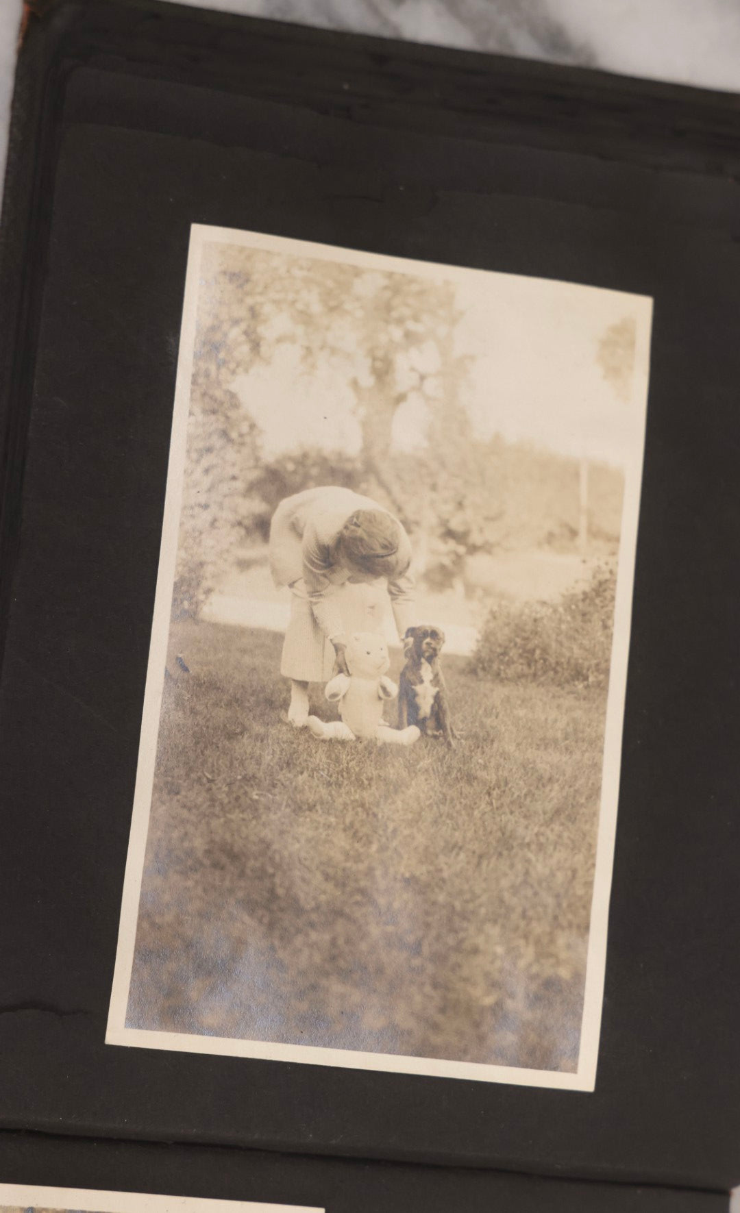 Lot 067 - Early 20th Century Snapshot Photo Album With 150+ Photographs, Connecticut And New England Travel, Horses, Dogs, And Coastal Scenes, Circa 1910–1920