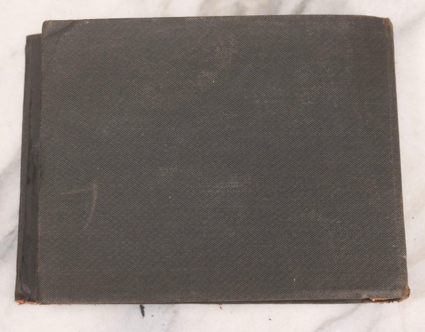 Lot 067 - Early 20th Century Snapshot Photo Album With 150+ Photographs, Connecticut And New England Travel, Horses, Dogs, And Coastal Scenes, Circa 1910–1920