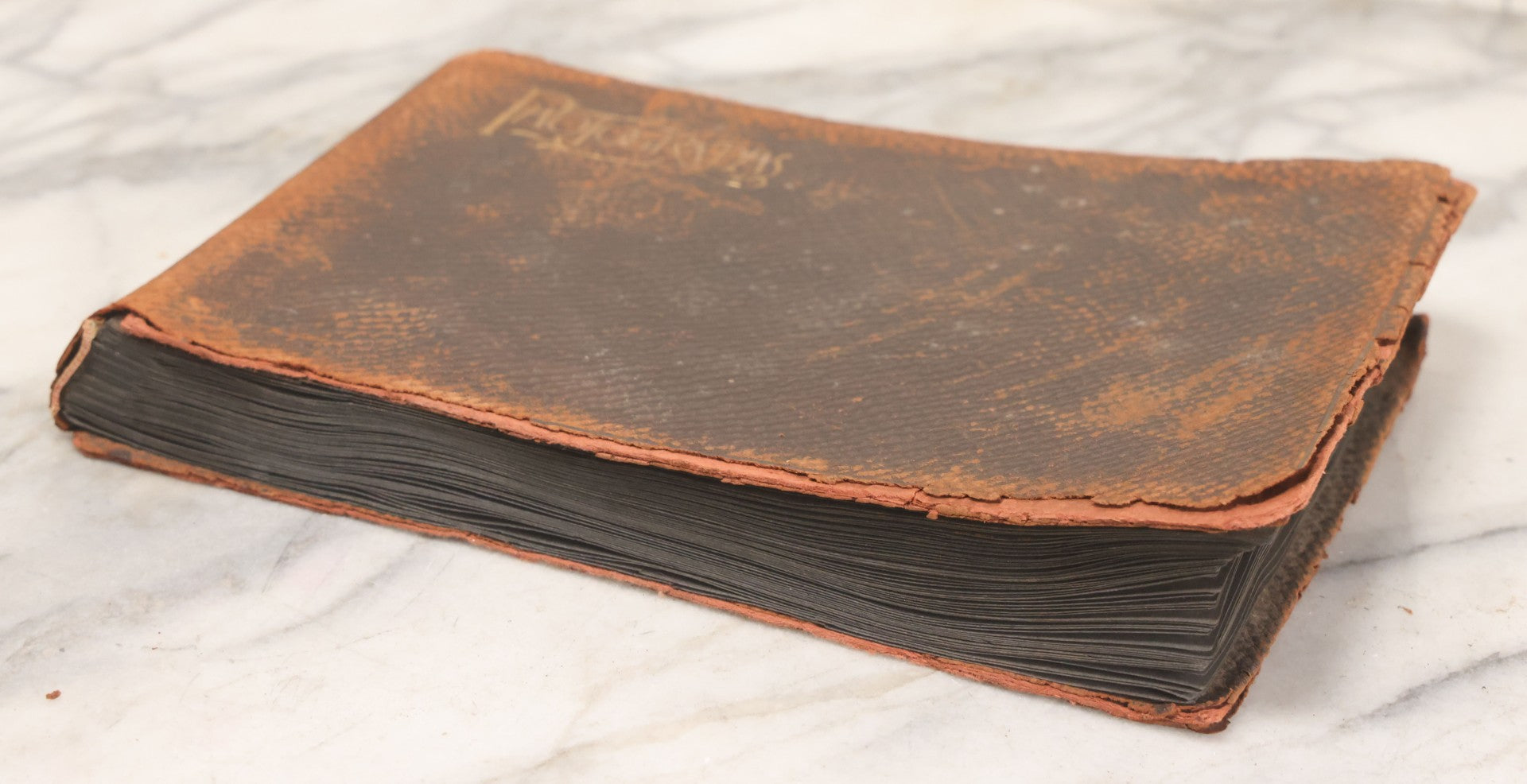 Lot 068 - Antique "Ward's Album For Unmounted Photographs" With 50+ Images Circa 1895-1910 Depicting Camping Trip With Campsite, Tent, Equipment, Lakes, Mountains, Canoes, Bicycle, Camera, And Piglets