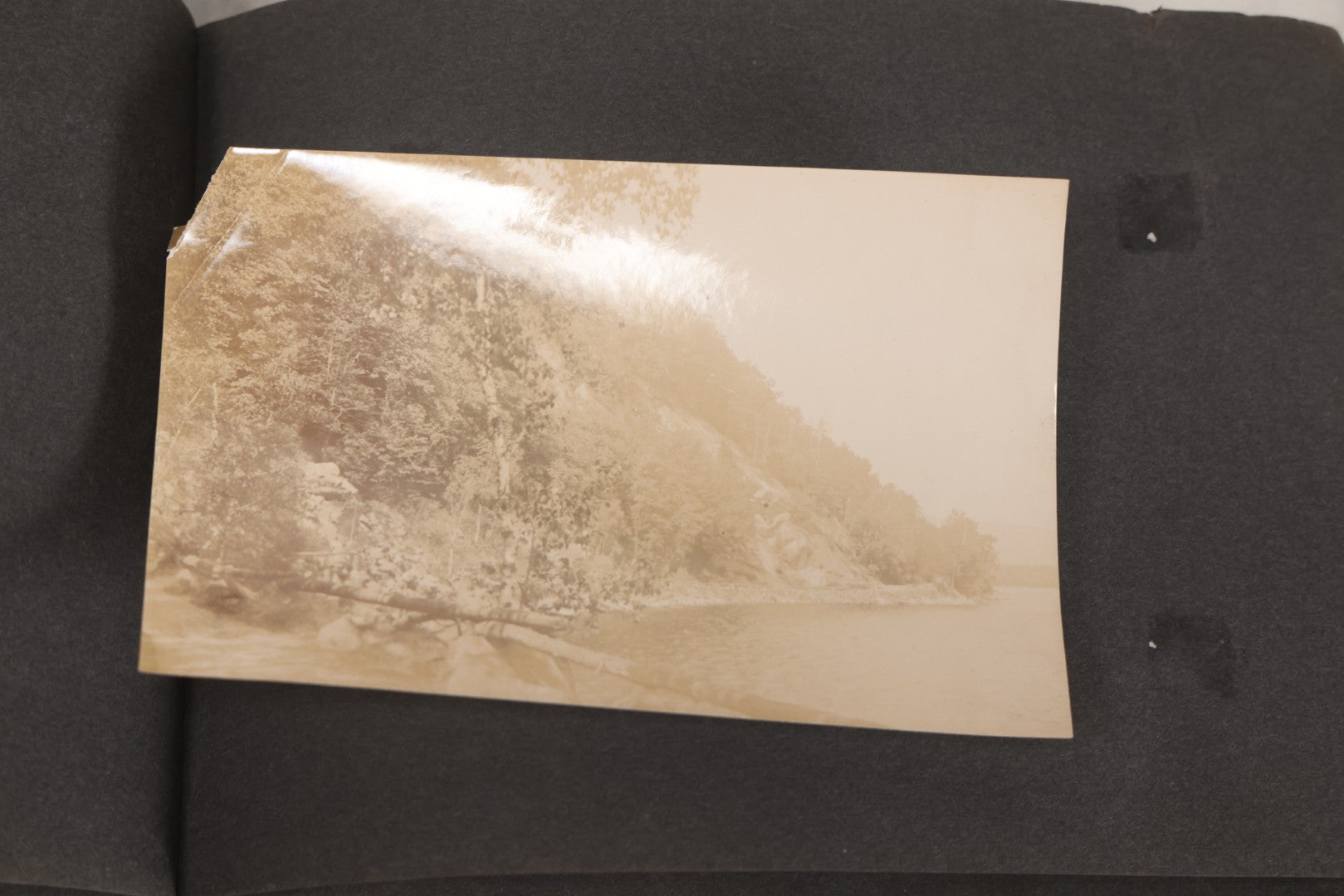 Lot 068 - Antique "Ward's Album For Unmounted Photographs" With 50+ Images Circa 1895-1910 Depicting Camping Trip With Campsite, Tent, Equipment, Lakes, Mountains, Canoes, Bicycle, Camera, And Piglets