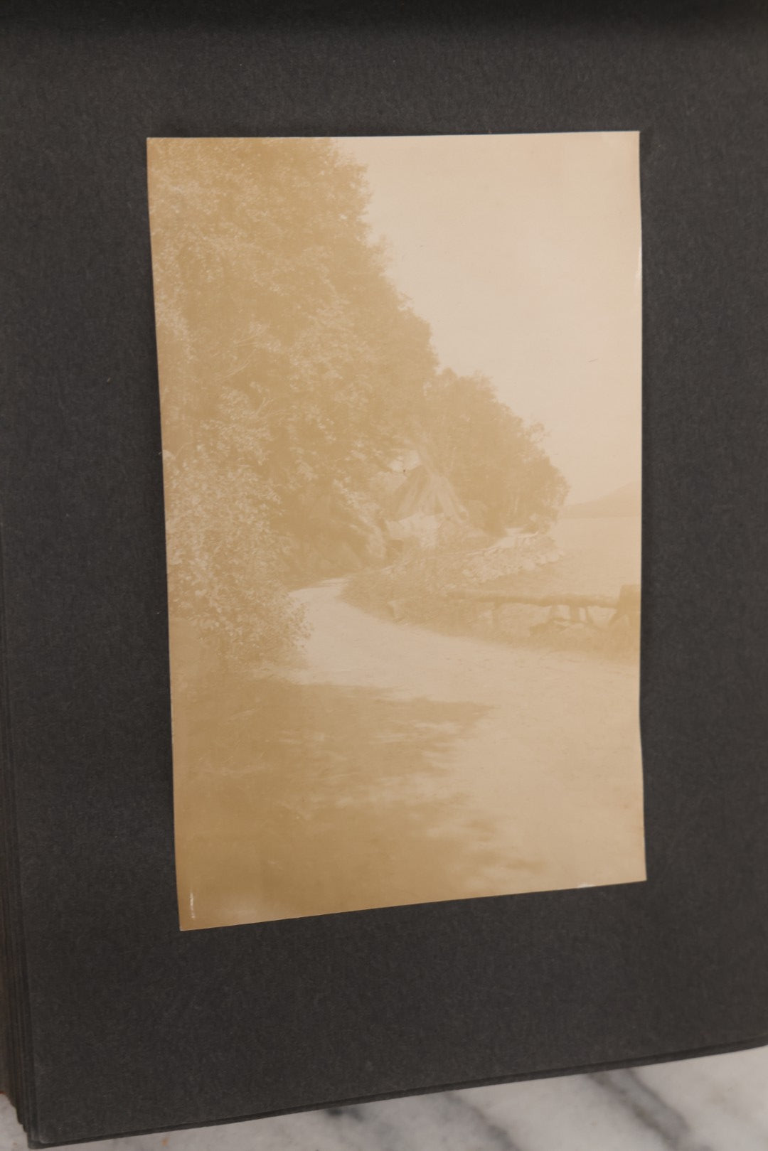 Lot 068 - Antique "Ward's Album For Unmounted Photographs" With 50+ Images Circa 1895-1910 Depicting Camping Trip With Campsite, Tent, Equipment, Lakes, Mountains, Canoes, Bicycle, Camera, And Piglets